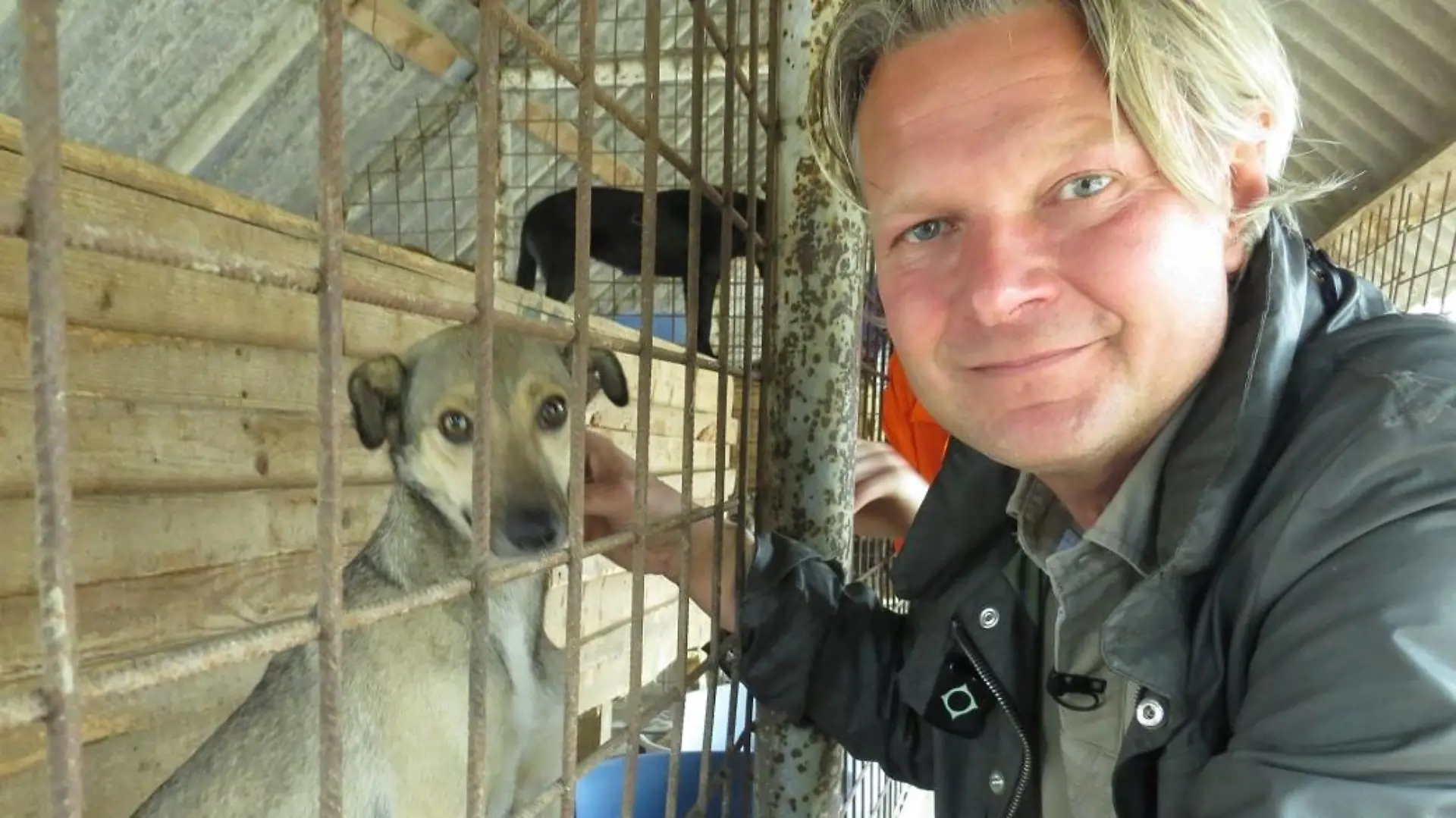 Tiere in Not - VOX-DOCMA TV - Frank Weber in der Smeura - Das weltweit grte Tierheim