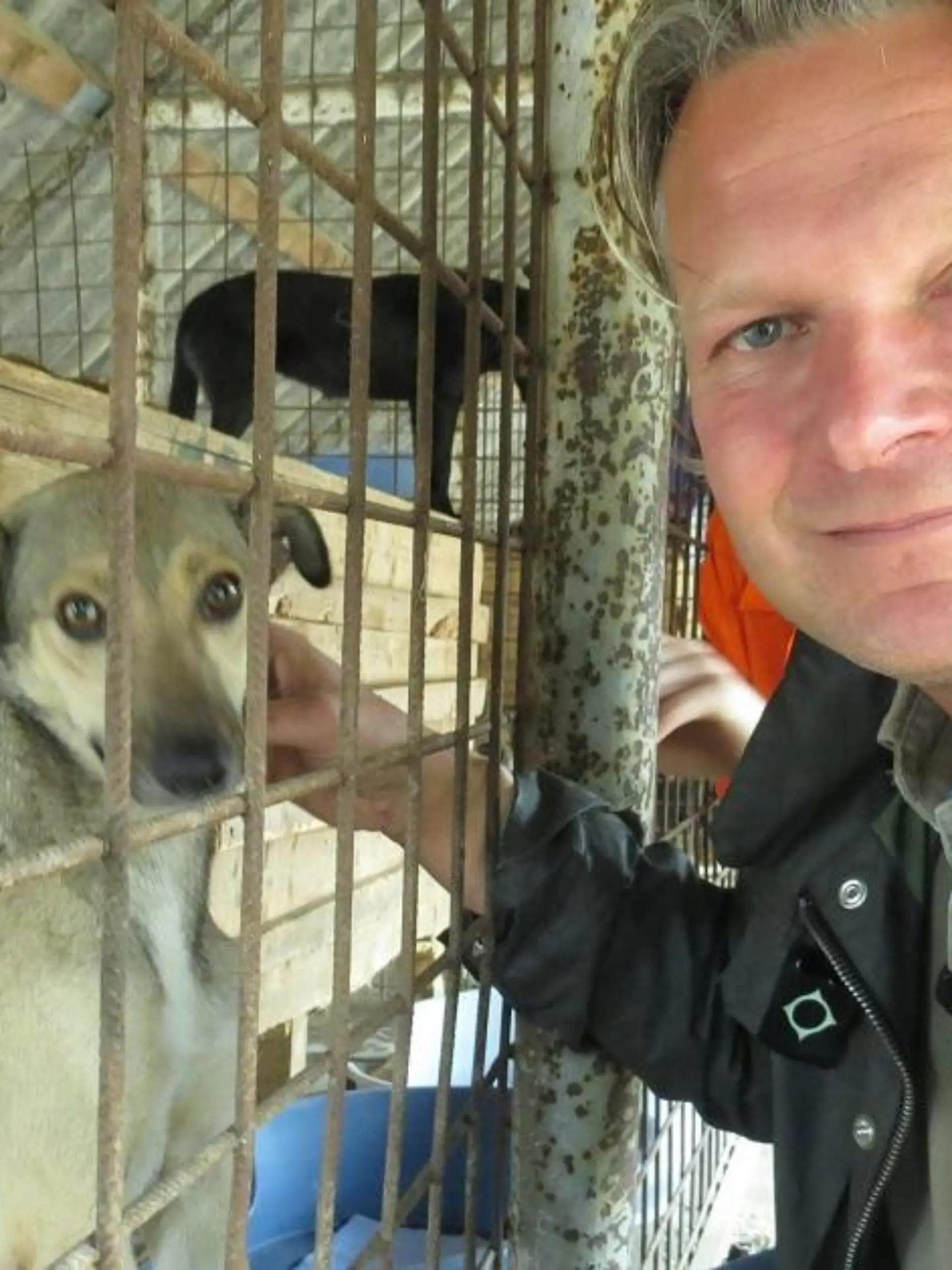 Tiere in Not - VOX-DOCMA TV - Frank Weber in der Smeura - Das weltweit grte Tierheim