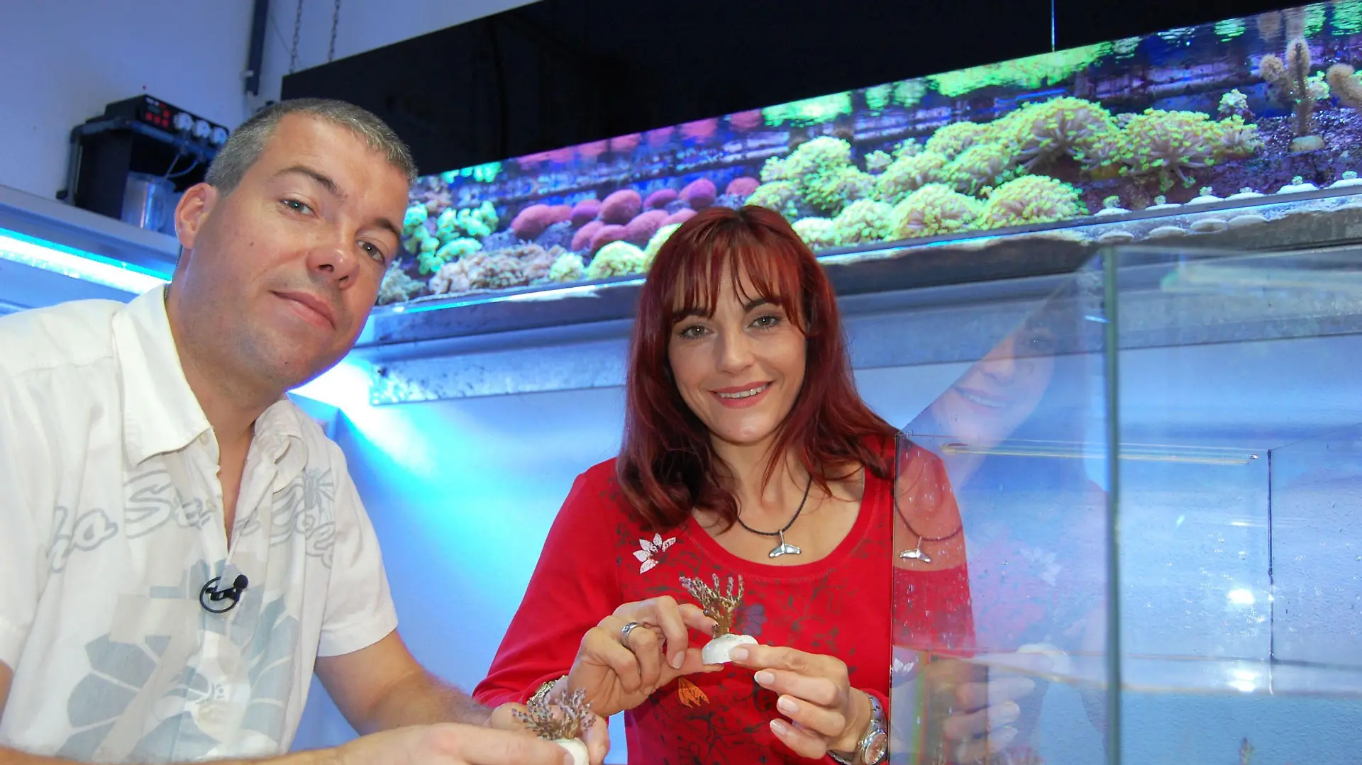Jürgen Wendel und Moderatorin Diana Eichhorn pflanzen Korallensetzlinge in ein Wasseraquarium ein.