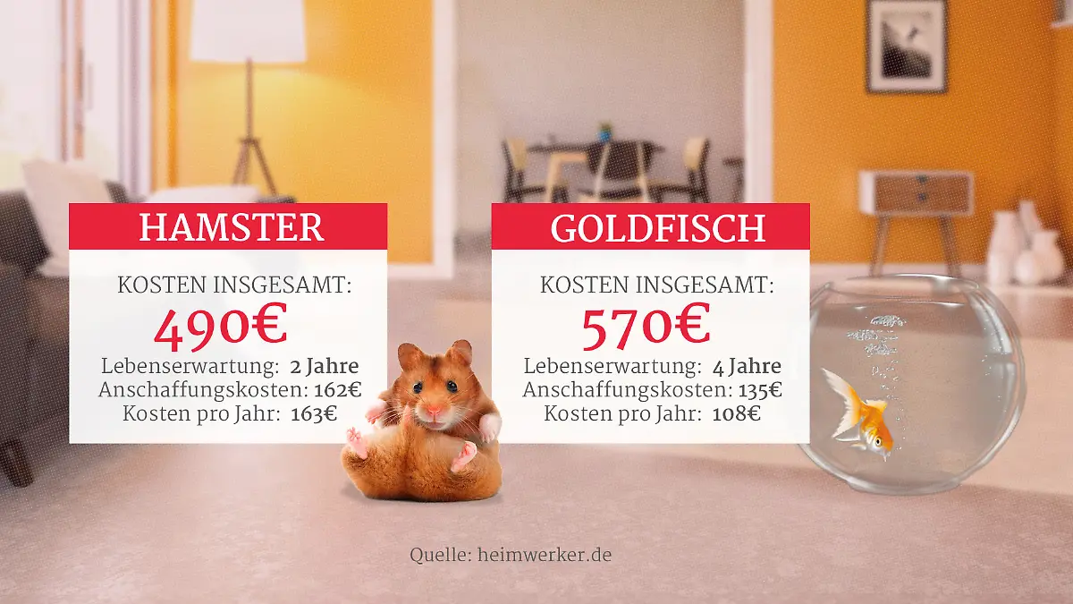Grafik: Kosten für Hamster und Goldfisch als Haustiere