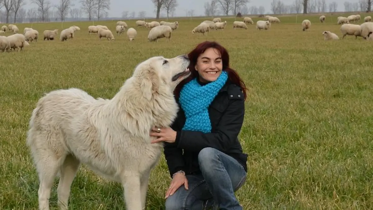 Tiergeschichten2 - VOX-DOCMA TV - Diana und Herdenschutzhund auf der Schafweide