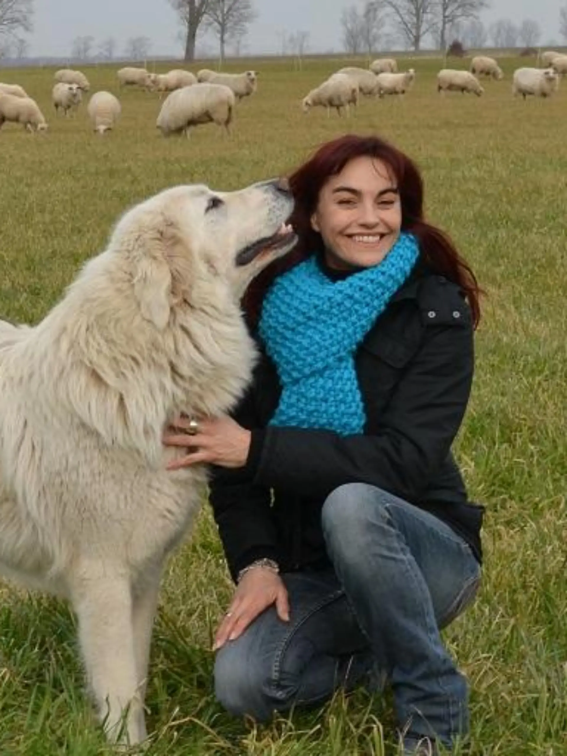 Tiergeschichten2 - VOX-DOCMA TV - Diana und Herdenschutzhund auf der Schafweide