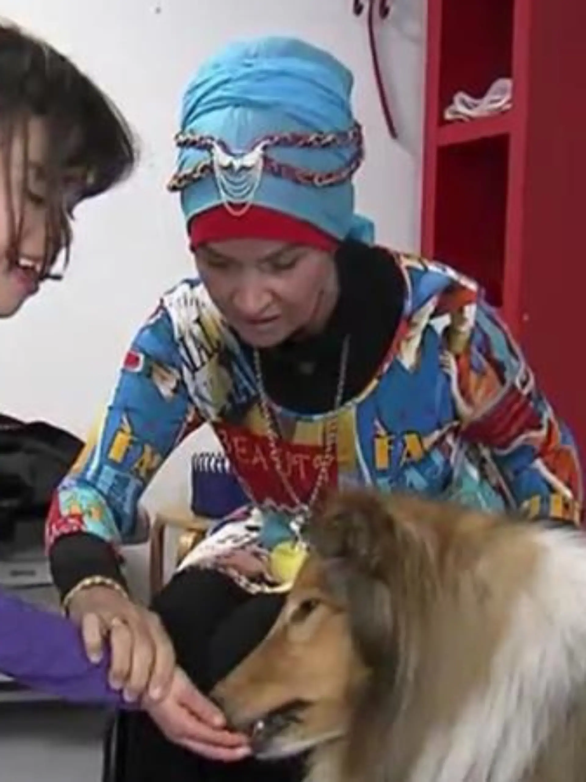 Tiergeschichten3 - VOX - Hundetrainerin Filiz Erfurt will berprfen ob Jlide sich berhaupt mit Hunden versteht