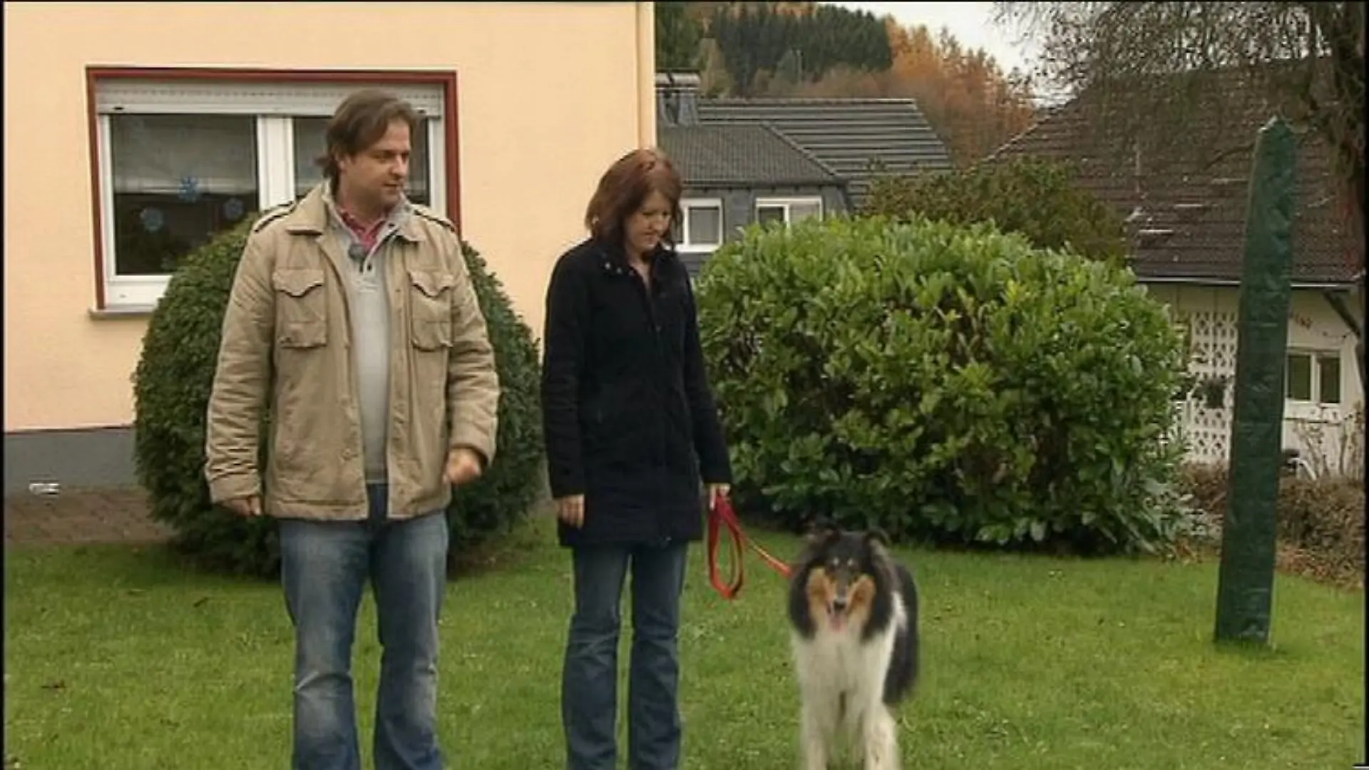 hundeprofi1 rütter und frauchen