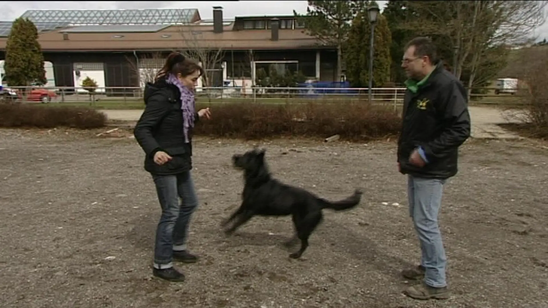 hund 2