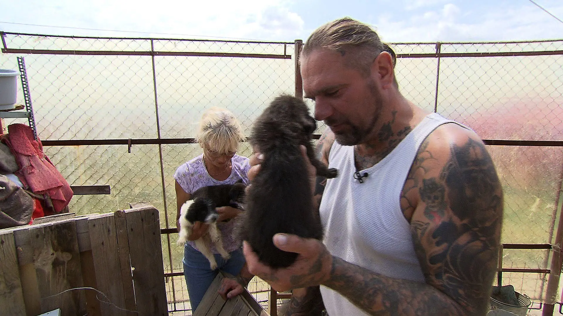 Tiergeschichten3 Harte Hunde - Ralf Seeger und Welpe