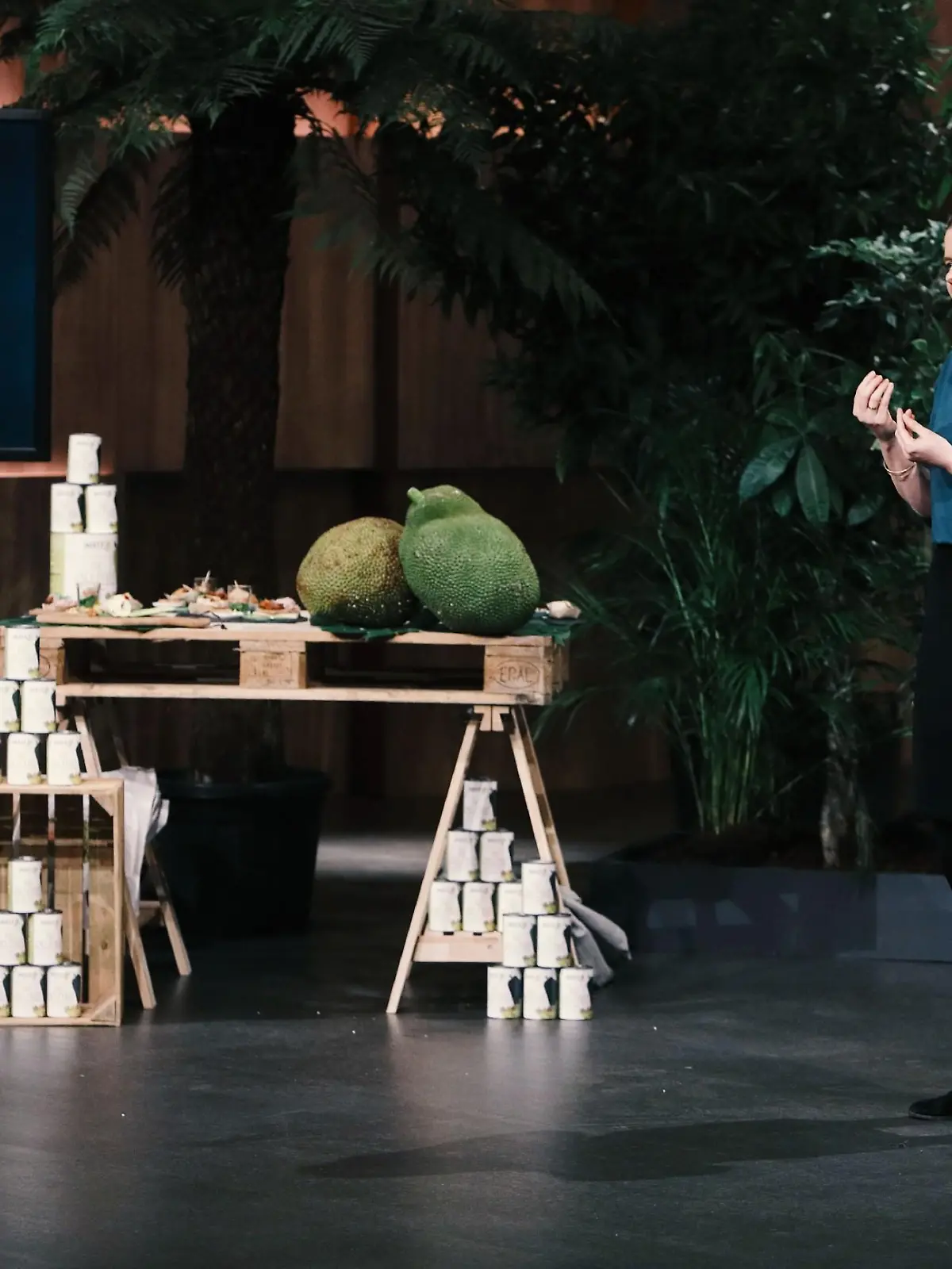 Julia Huthmann aus Harsefeld präsentiert mit "Jacky F."  einen Fleischersatz aus der jungen Jackfruit. Sie erhofft sich ein Investment von 260.000 Euro für 10 Prozent der Anteile an ihrem Unternehmen.