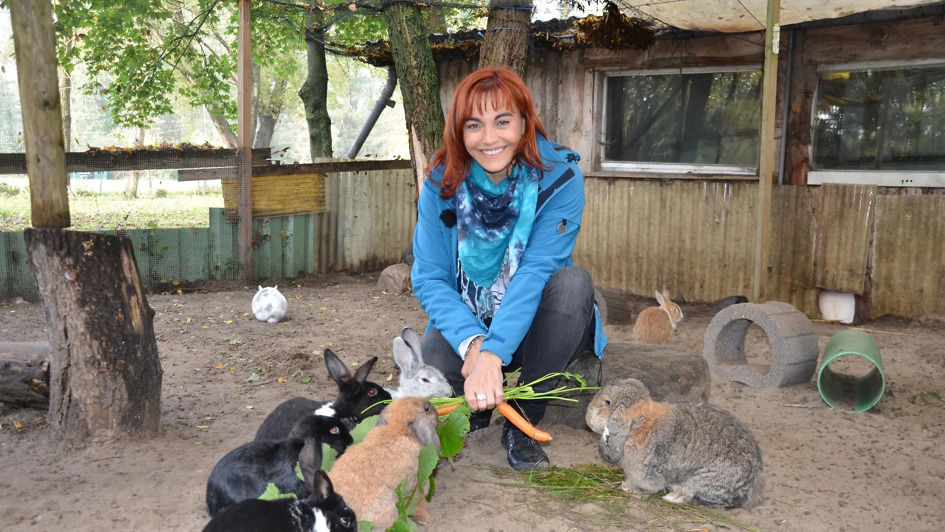 Diana Kaninchen im Winter DOCMA TV.jpg
