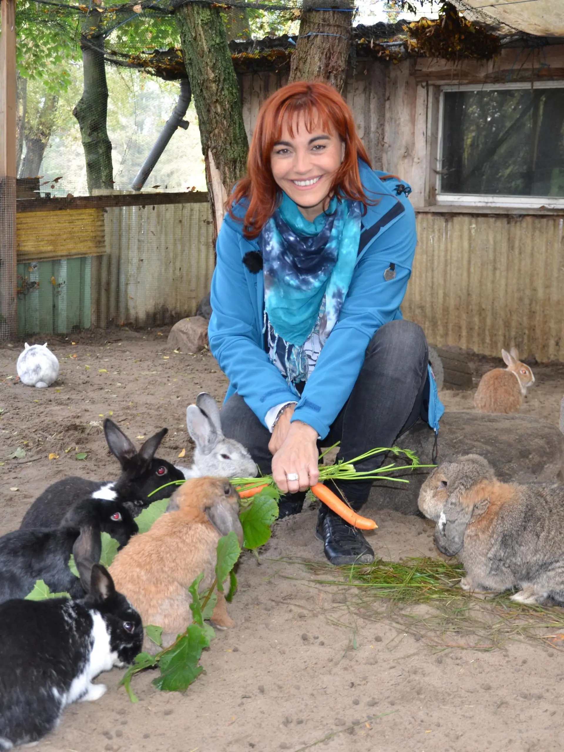 Diana Kaninchen im Winter DOCMA TV.jpg