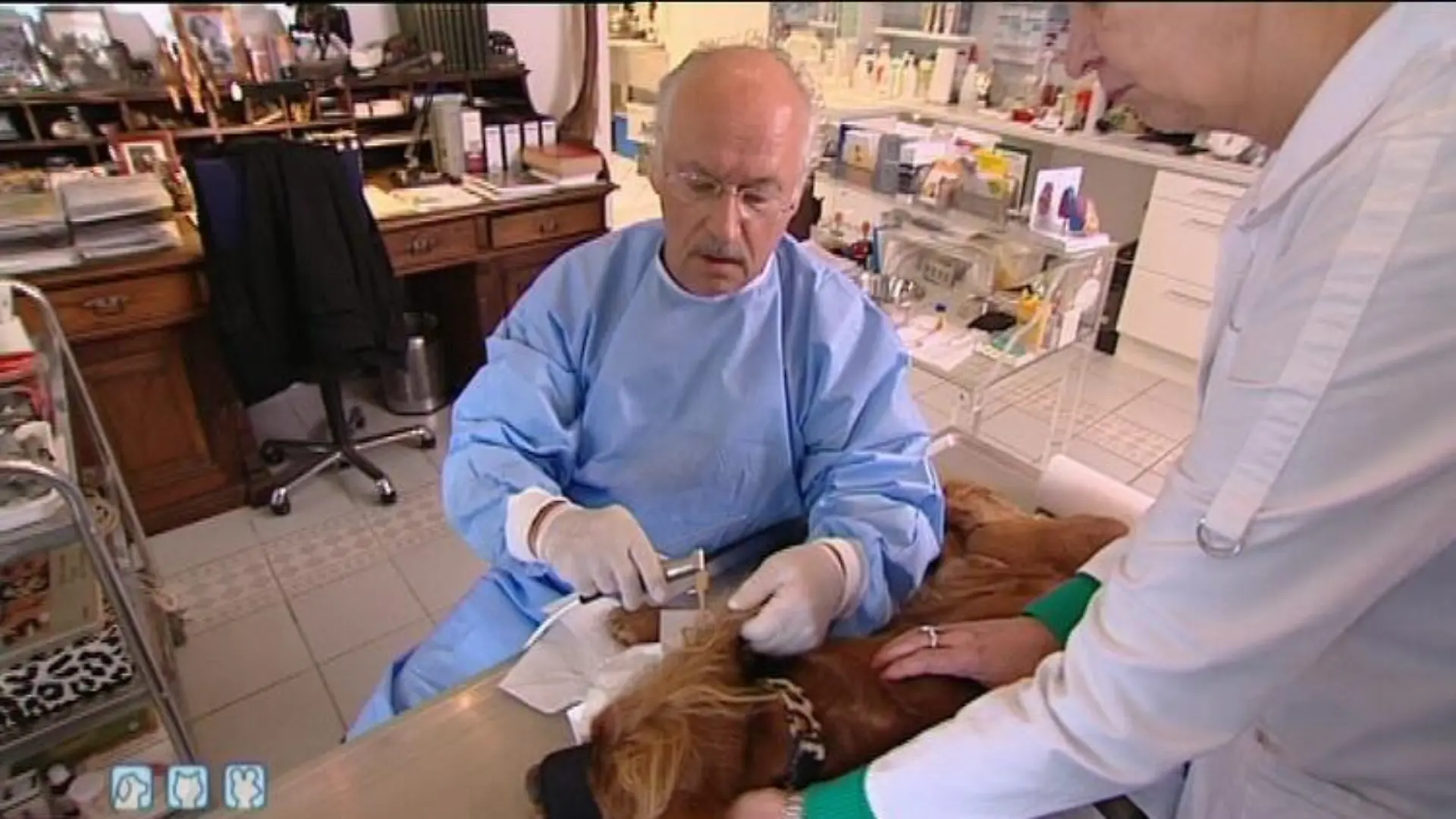 Sprechstunde1 Dr. Wolf Ohrensplung beim Hund