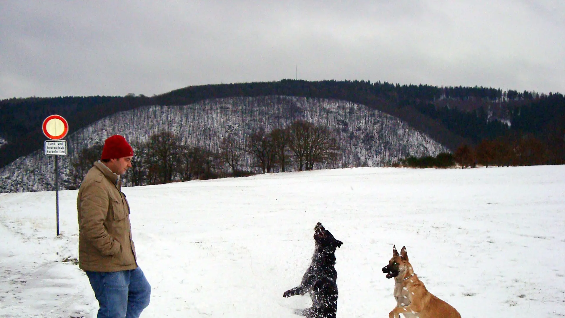 Hundeprofi Martin Rütter und Labrador-Australian Shepherd-Mix Leyla und Malinoir-Mix Kiara.
