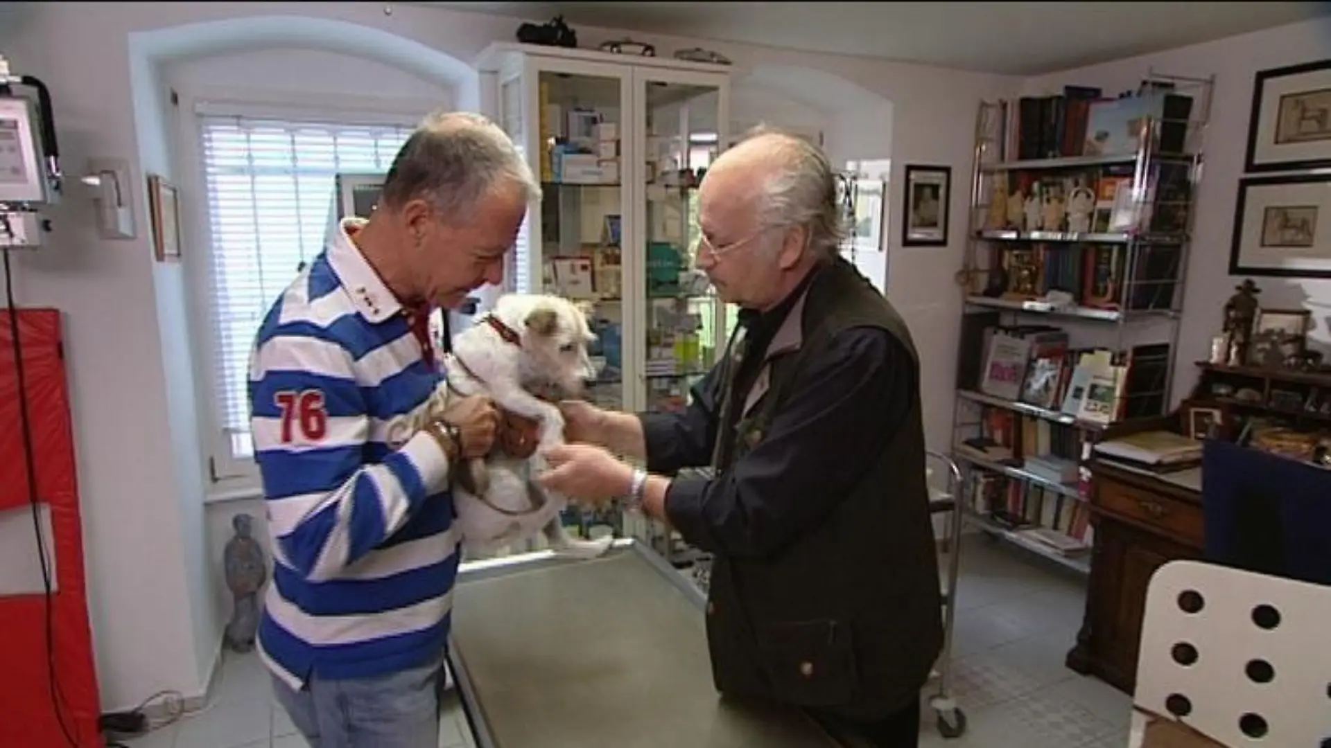 Vorschau Dr. Wolf und Hund