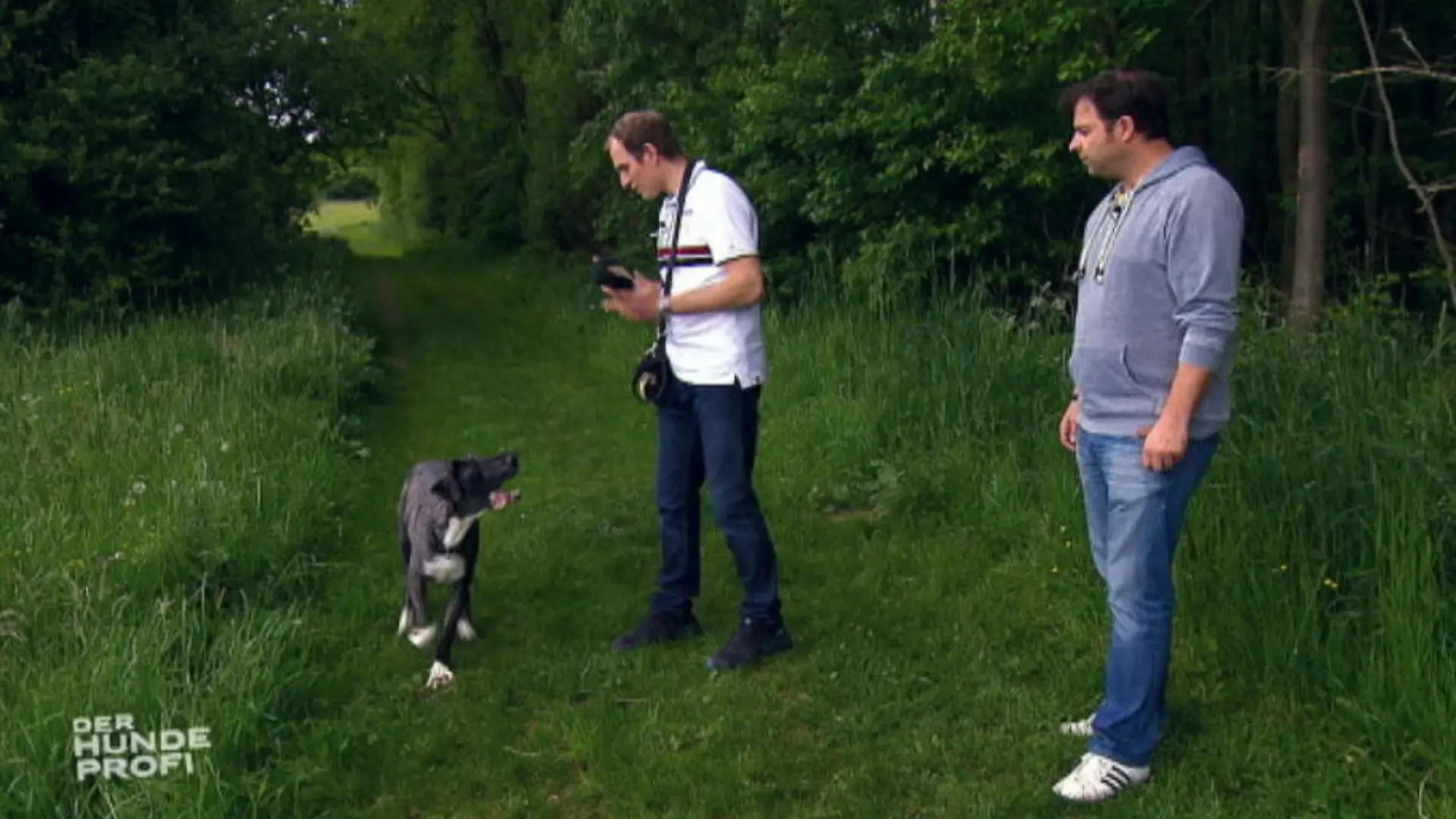 Doggen Nachklapp