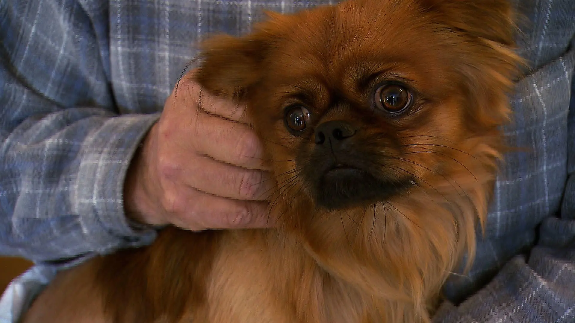 Tiere in Not - Pflegefall Timmy