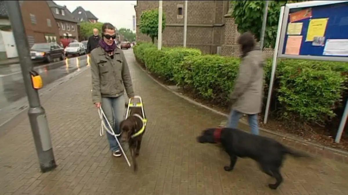 blindenhund janine gutknecht