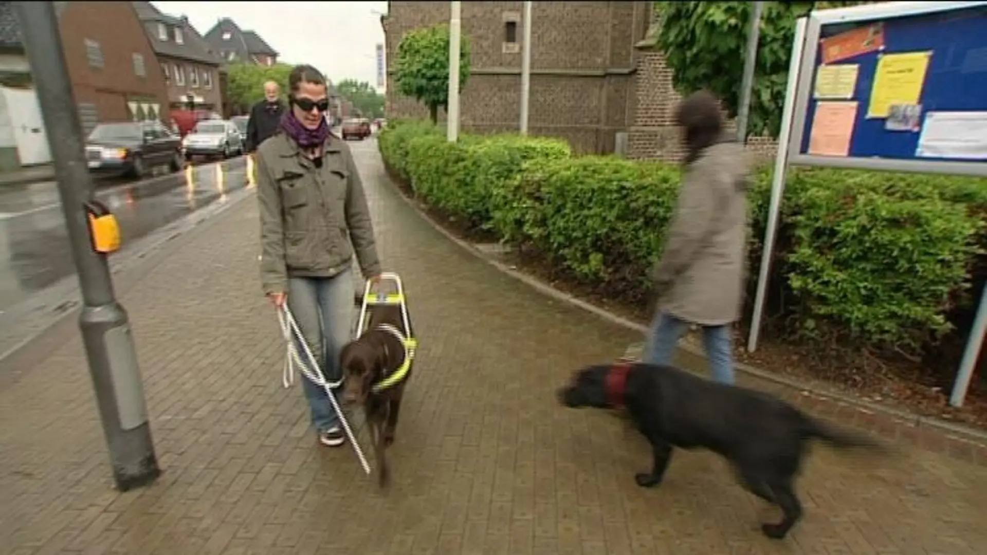 blindenhund janine gutknecht