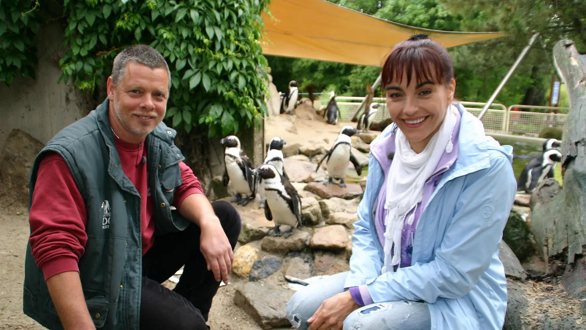 Pinguine 2