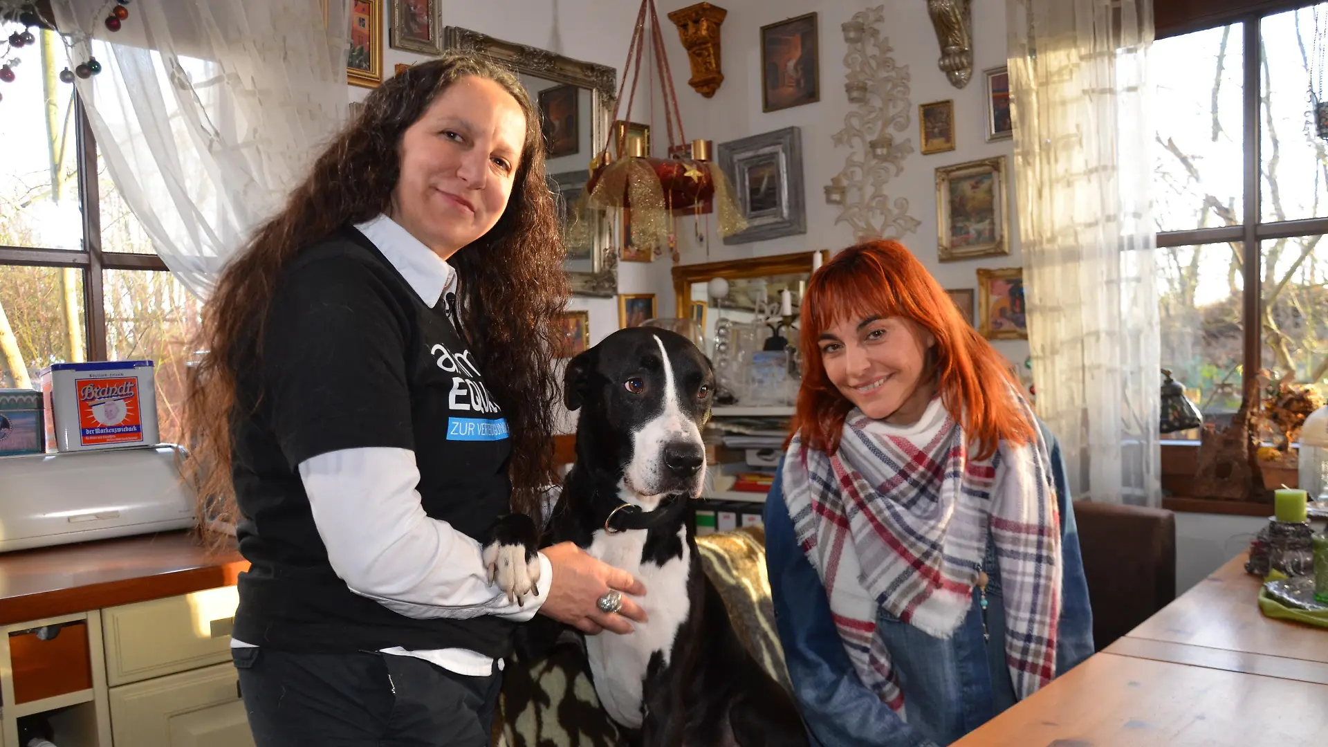 Diana Listenhunde VOX DOCMA TV