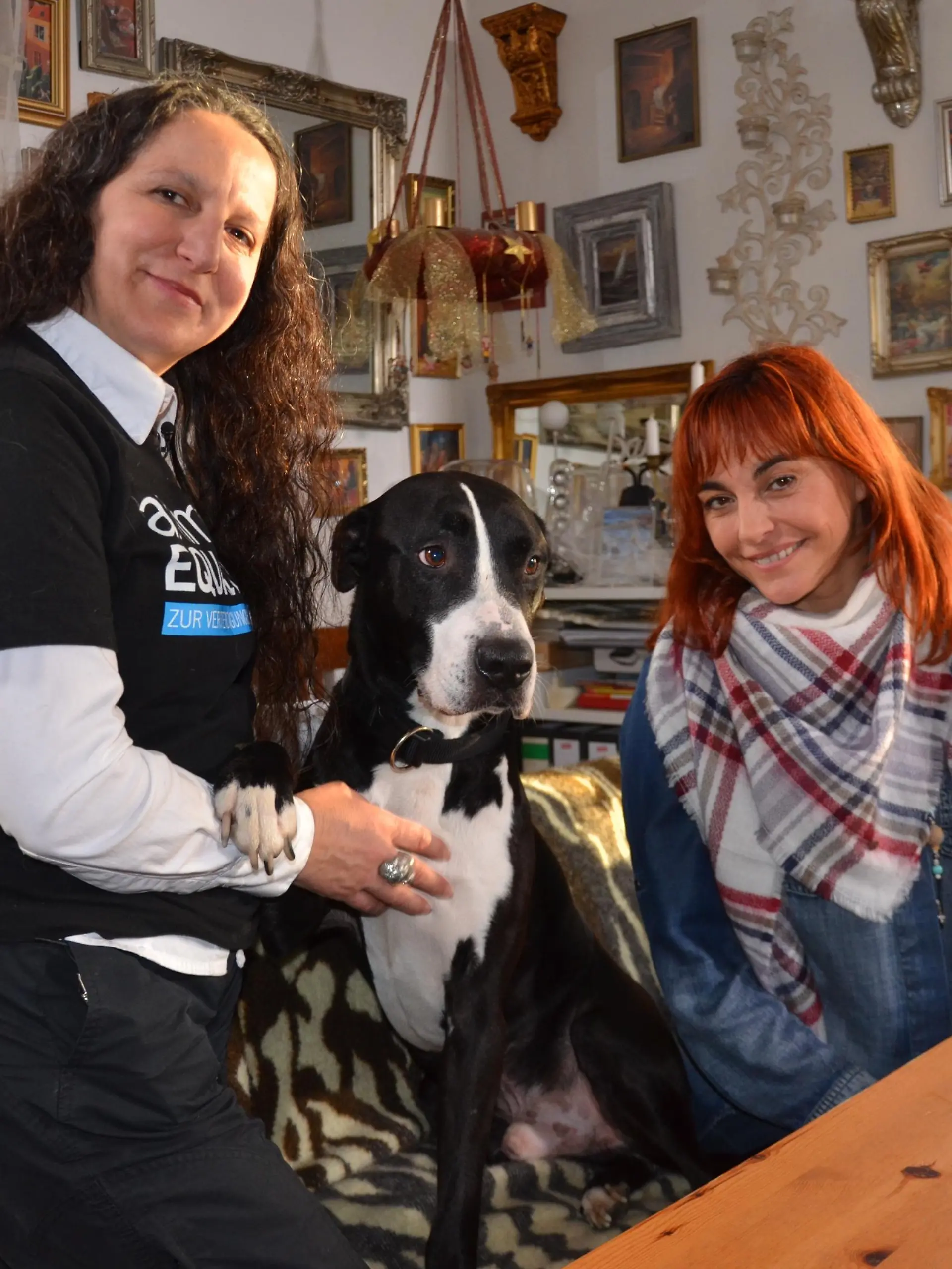 Diana Listenhunde VOX DOCMA TV