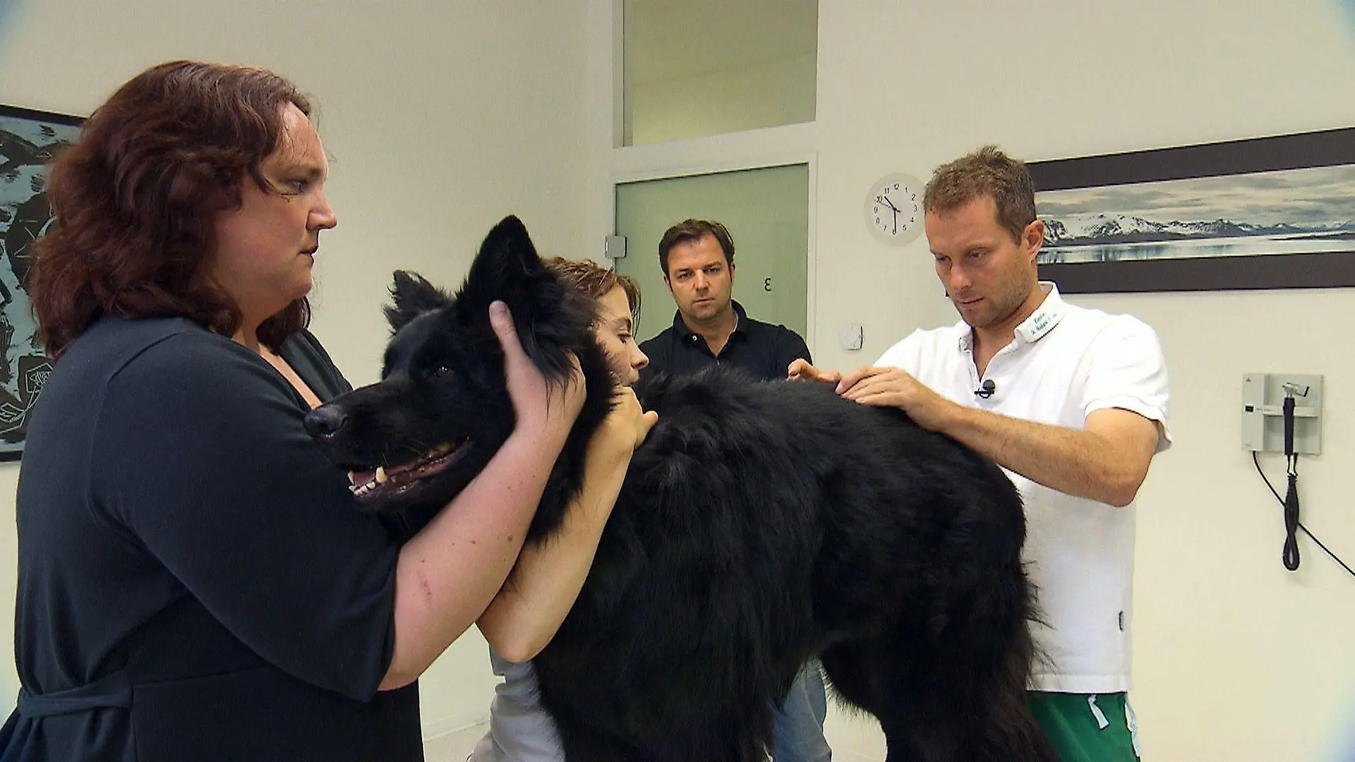 Maren Moritz bringt ihre Schäferhündin "Mona" nach Anraten von Martin Rütter zum Tierarzt.