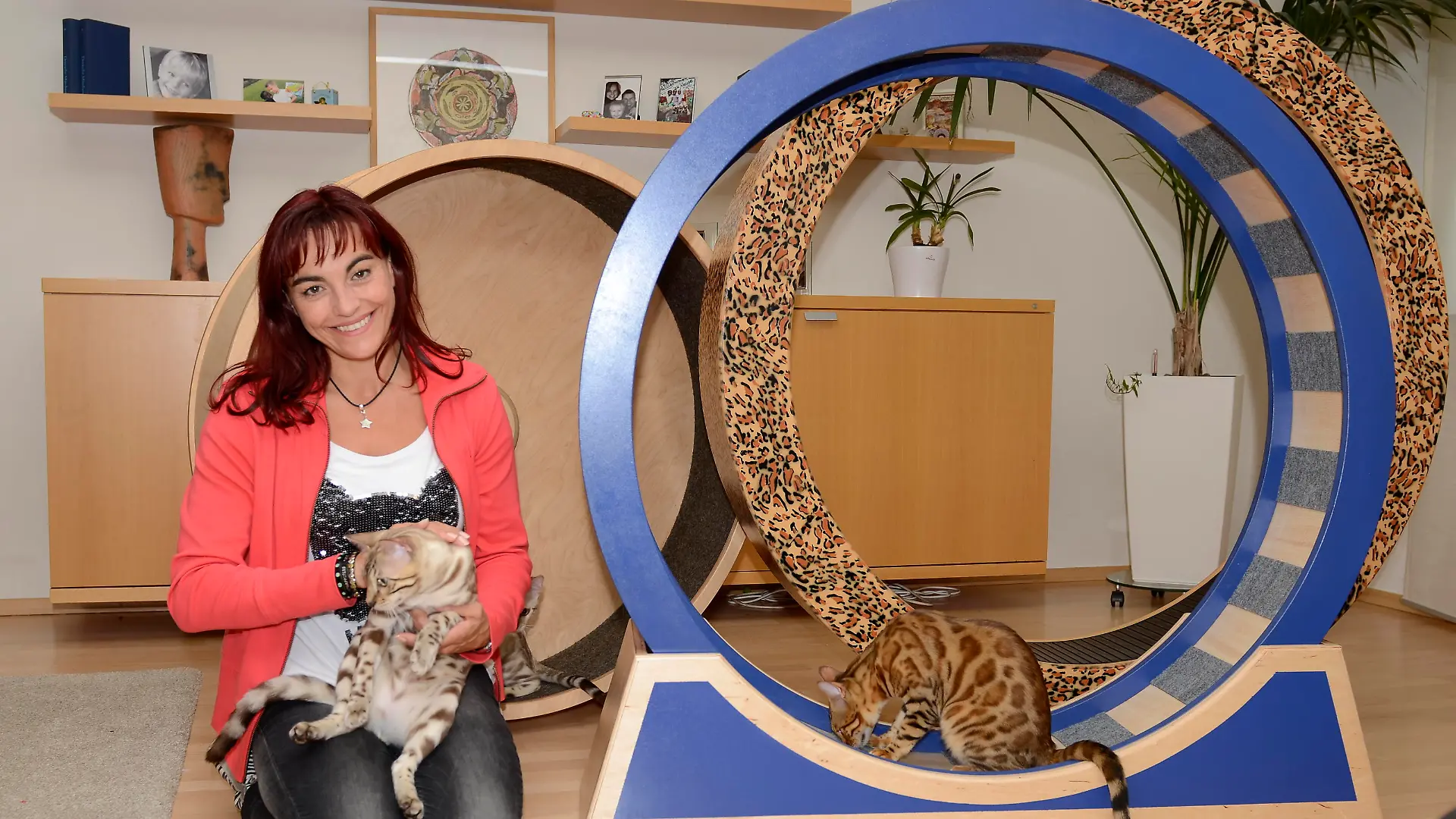 Diana - Katzenlaufrder.VOX DOCMA TV