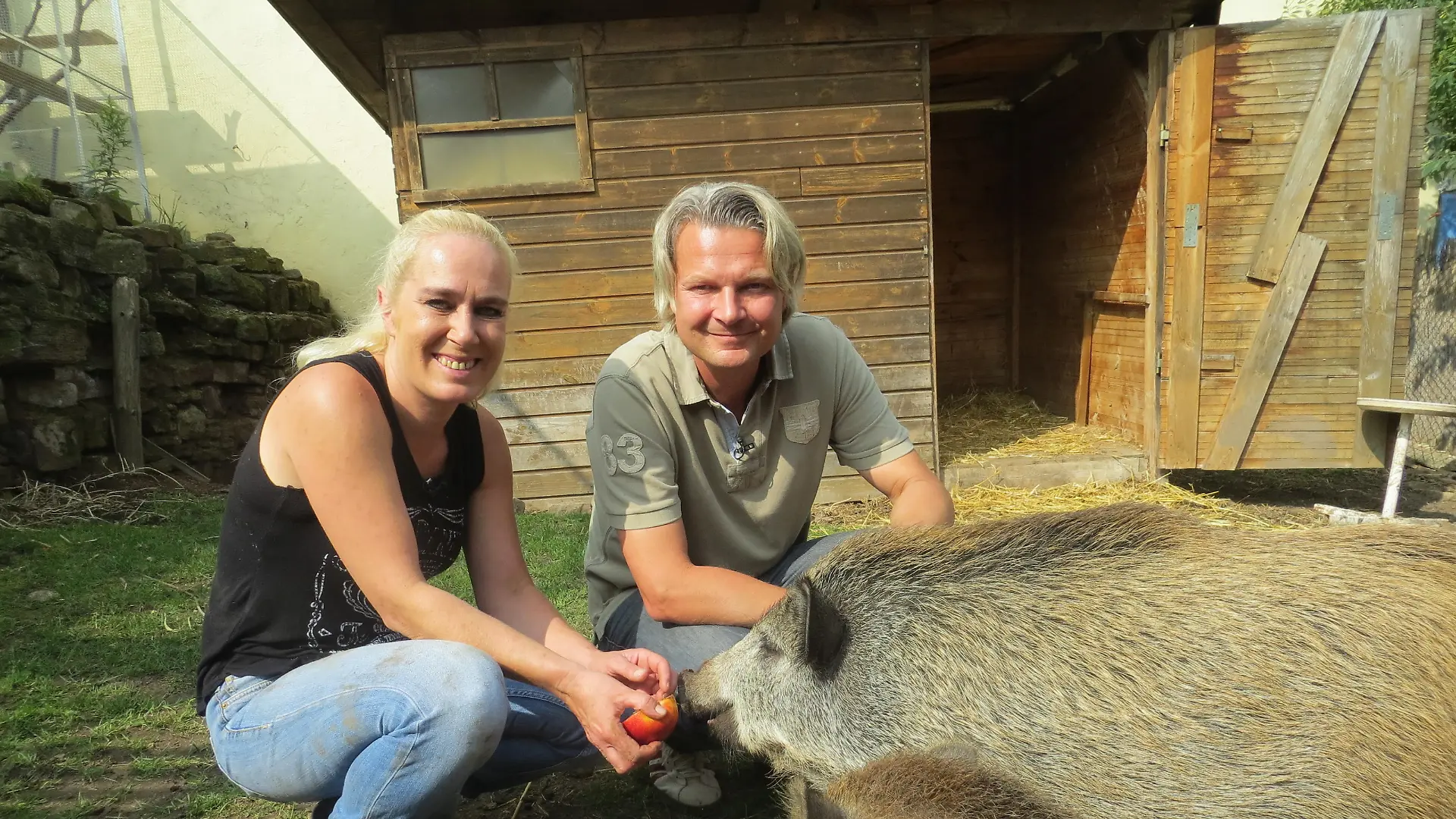 TiereinNot - Wildschweine VOX-DOCMA TV hundkatzemaus-Tierschutzexperte Frank Weber zusammen mit Britta Merkel und den beiden Wildschweinen Bine und Luise