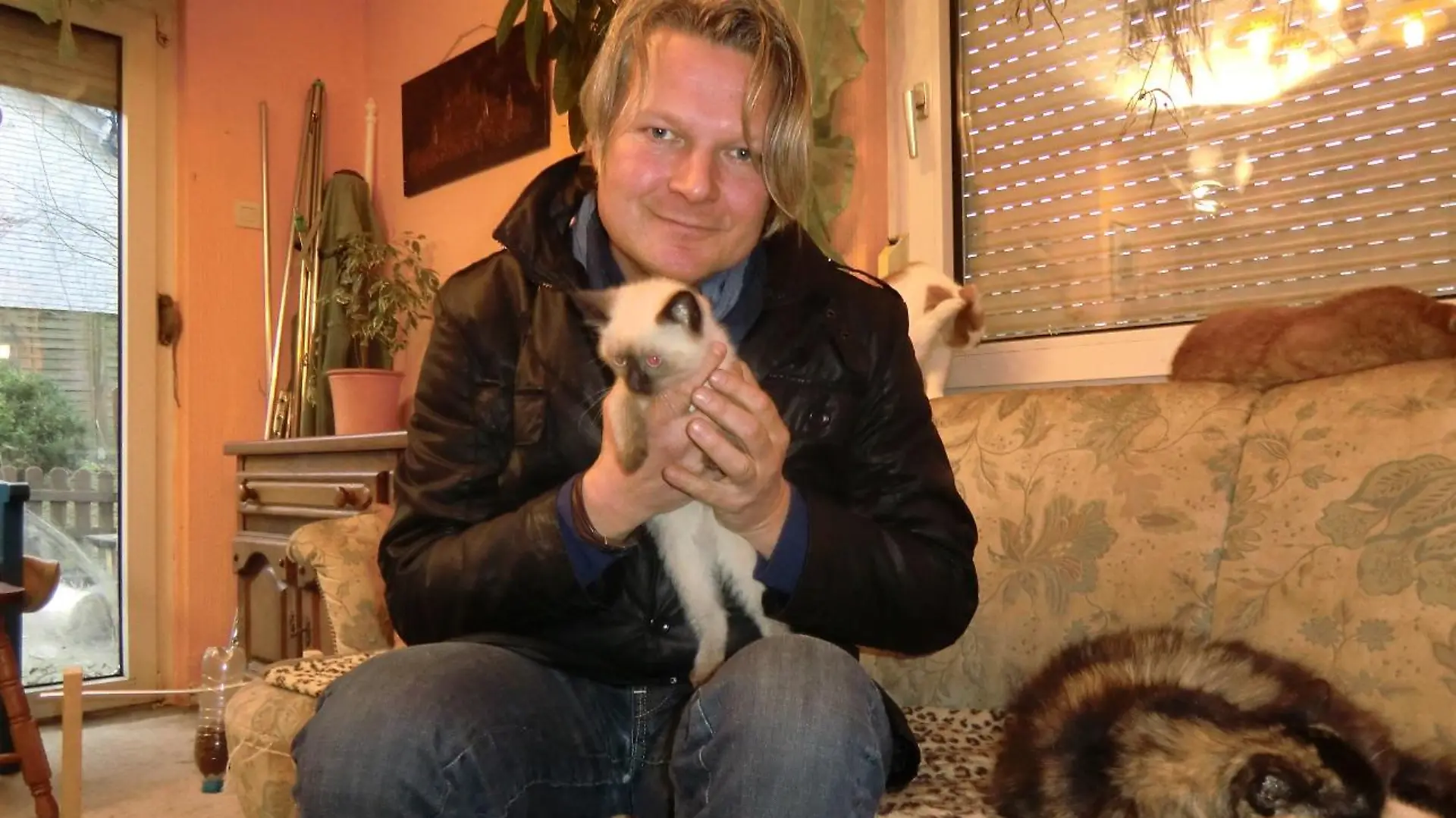 Tiere in Not - VOX-DOCMA TV - Frank Weber Katzennot