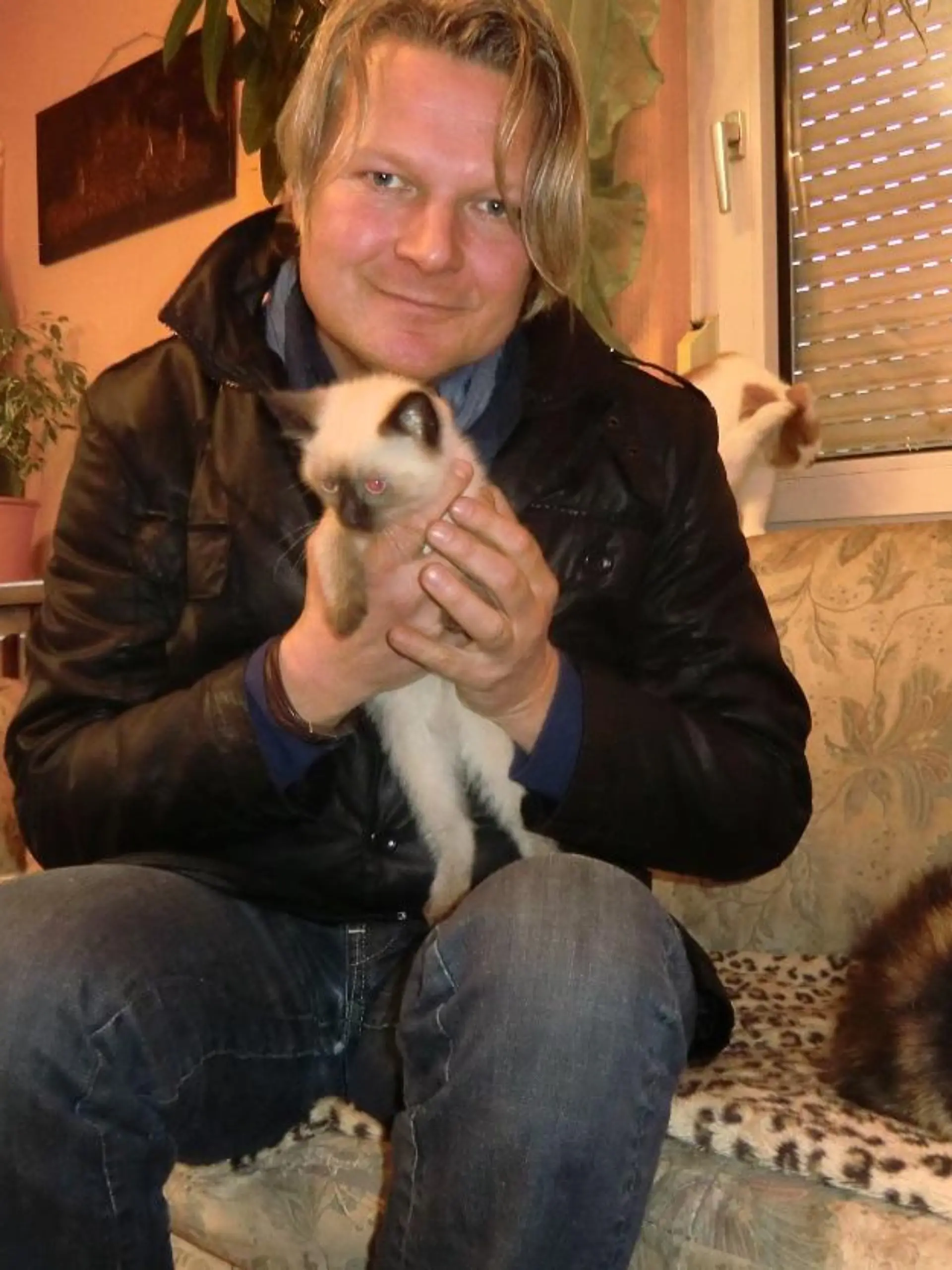 Tiere in Not - VOX-DOCMA TV - Frank Weber Katzennot