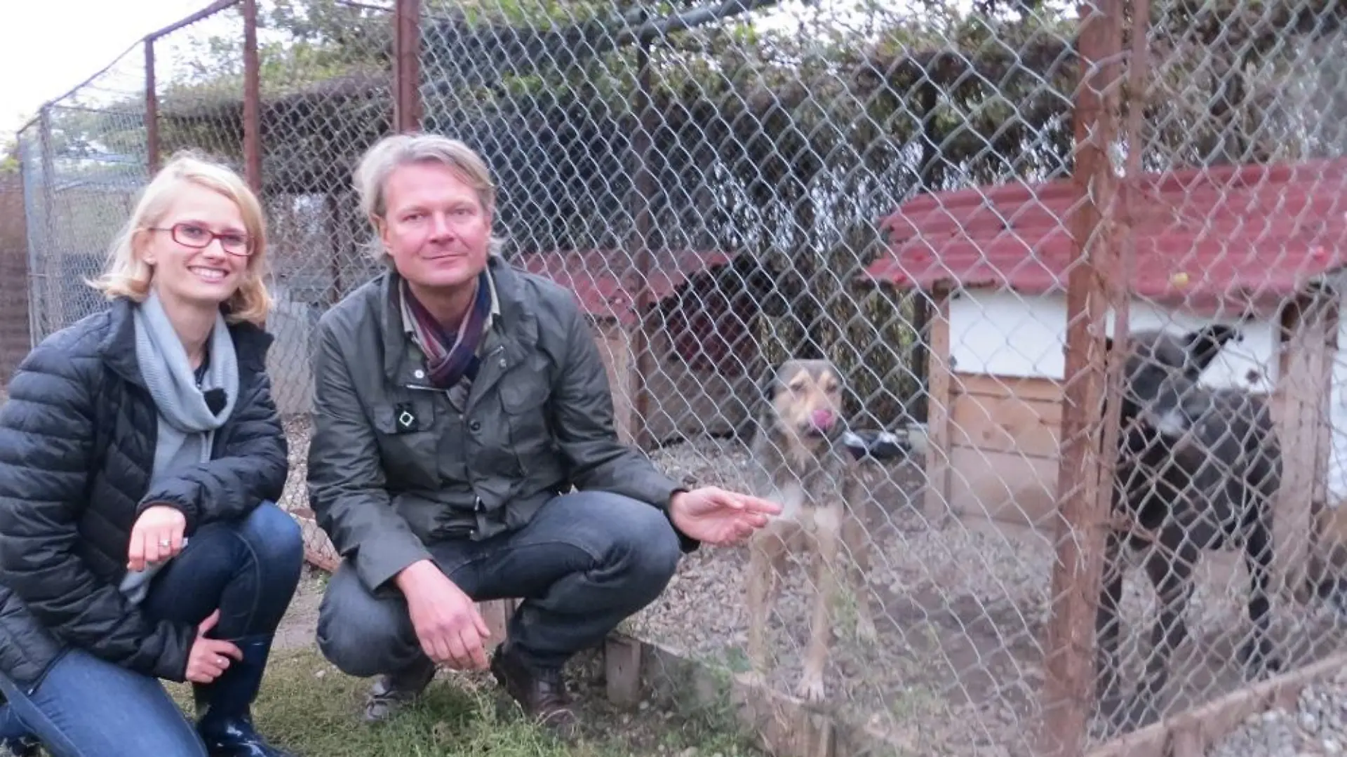 Vorschau3.2 - VOX-DOCMA TV - Frank Weber und Catinca Anton im Tierasyl bei Bukarest