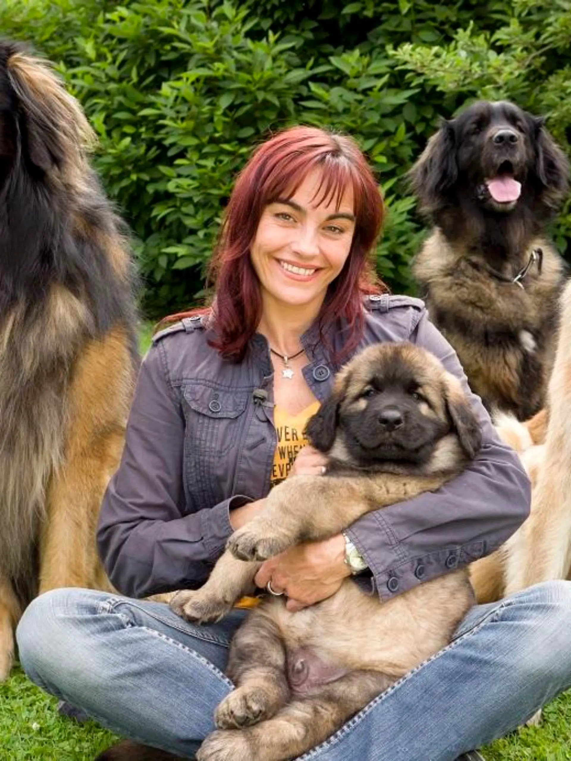 Tiergeschichten1 - VOX-DOCMA TV - hundkatzemaus-Reporterin Diana Eichhorn informiert sich ber Leonberger..jpg