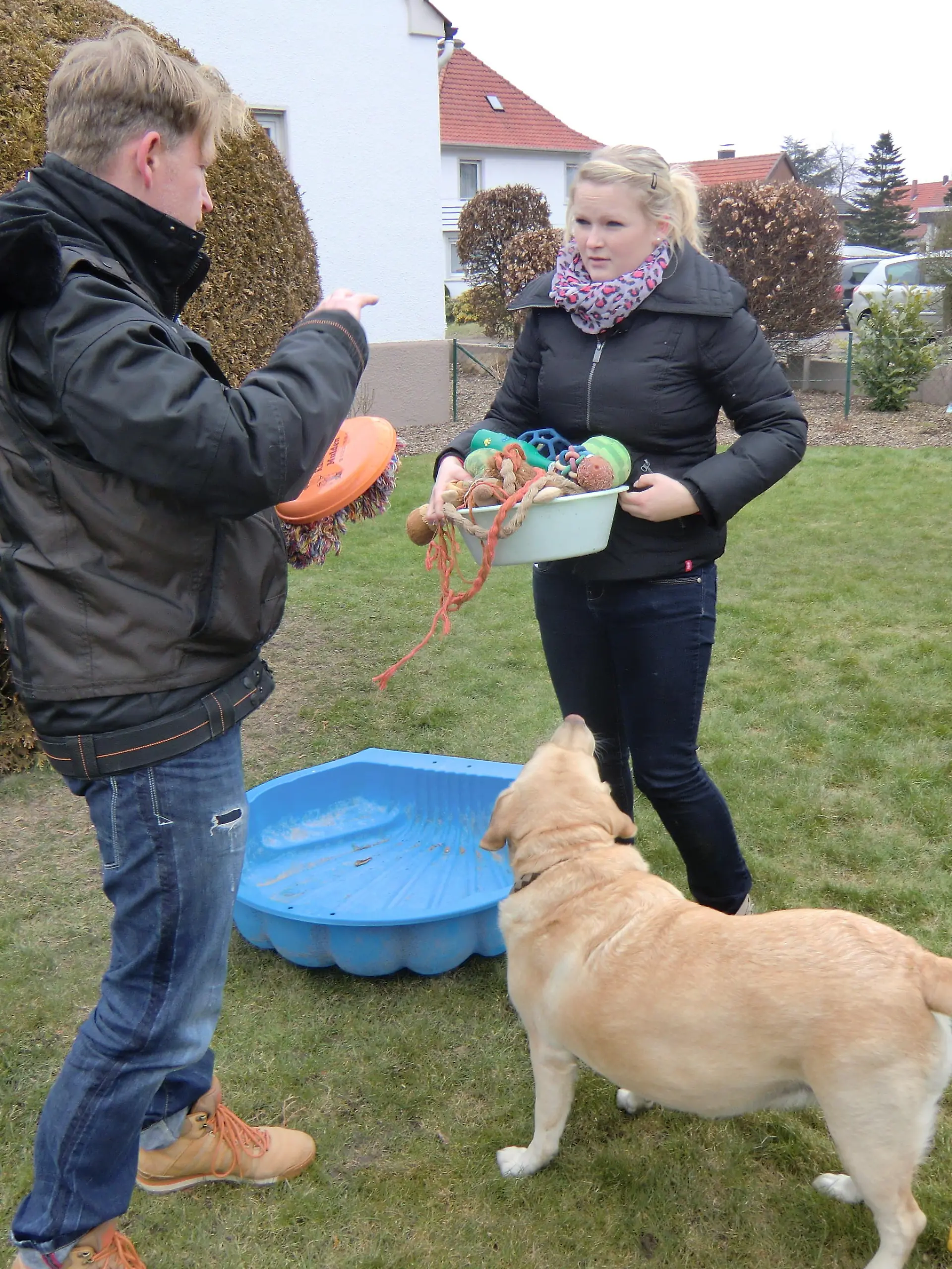 Tiergeschichten3 - Apportiertraining fr Amina