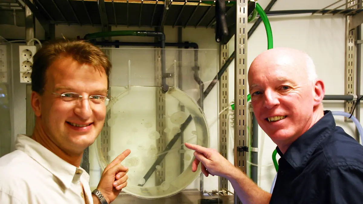 Matthias Reinschmidt (l.) und Piet Sondervan mit kleinen Ohrenquallen