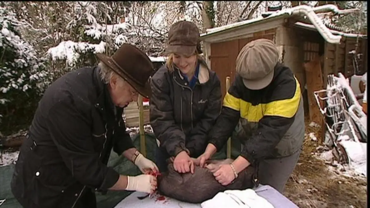 sprechstunde1 ferkel+besitzer