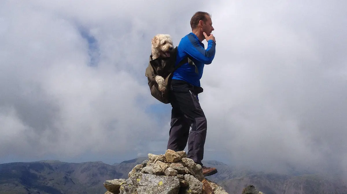 Hund Monty ist im Rucksack von Herrchen Carlos und schaut stolz in die Ferne.