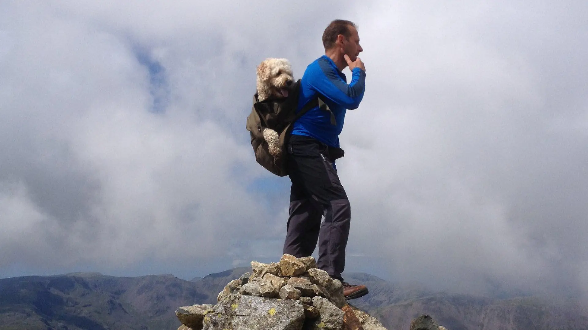 Hund Monty ist im Rucksack von Herrchen Carlos und schaut stolz in die Ferne.