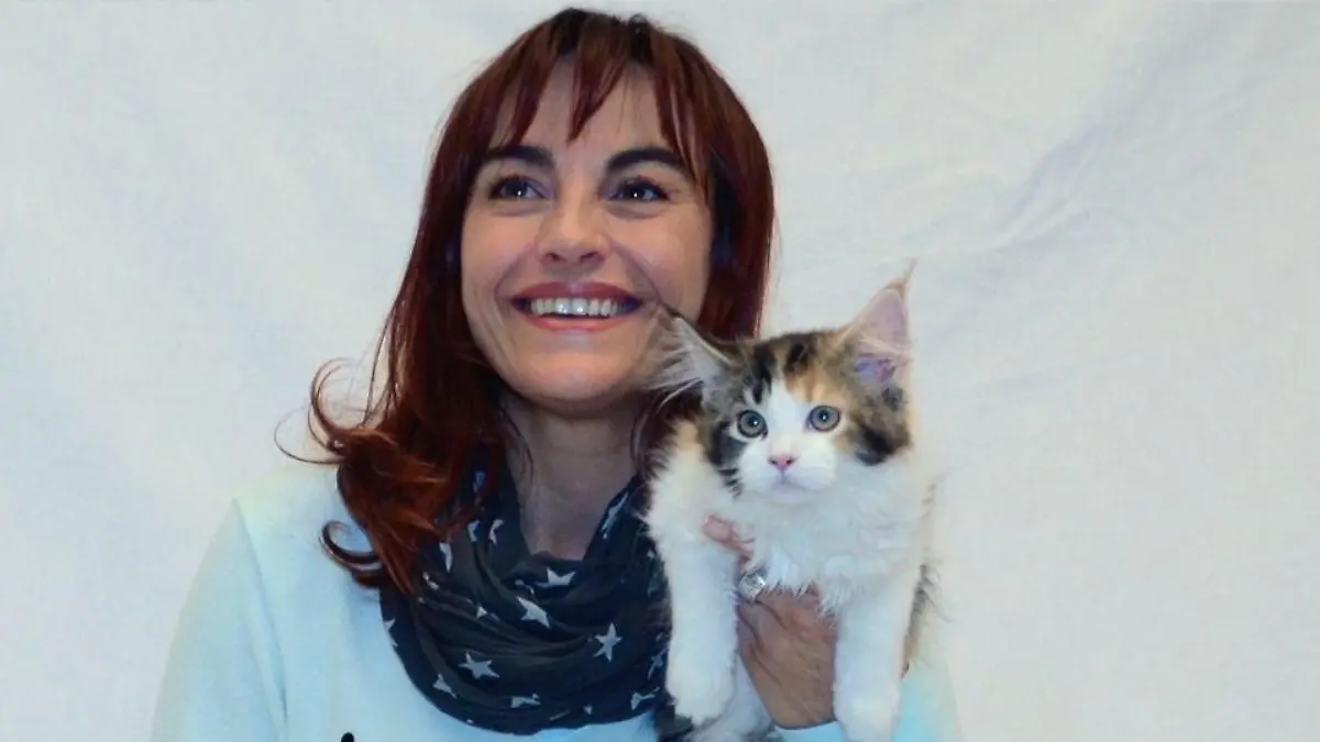 Tiergeschichten1 - VOX-DOCMA TV-TOBIAS BRODHUN - Diana begleitet Umzug eines Maine Coon Ktzchens