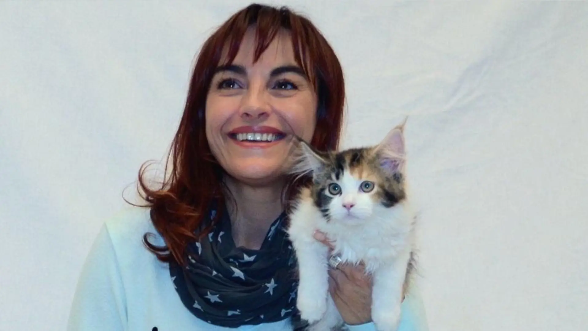 Tiergeschichten1 - VOX-DOCMA TV-TOBIAS BRODHUN - Diana begleitet Umzug eines Maine Coon Ktzchens