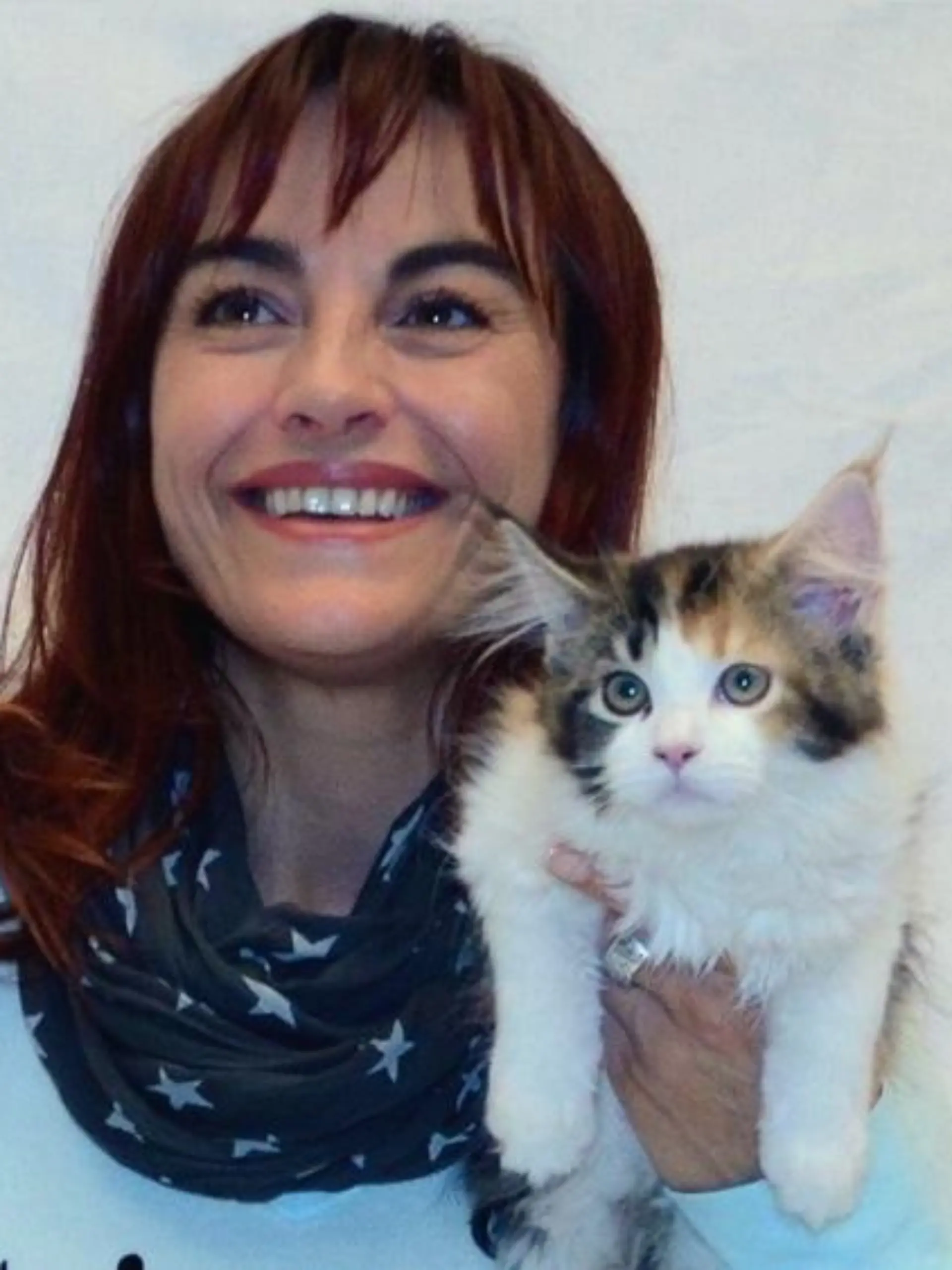 Tiergeschichten1 - VOX-DOCMA TV-TOBIAS BRODHUN - Diana begleitet Umzug eines Maine Coon Ktzchens