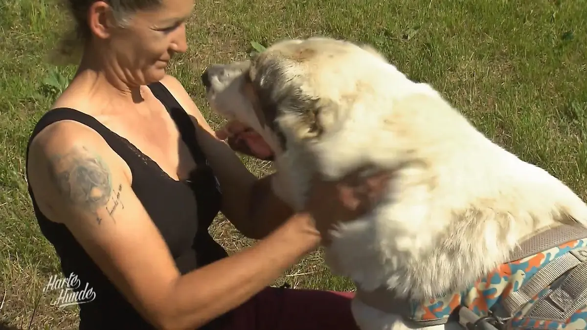 Otto hat bei Anka Purwin ein neues Zuhause gefunden