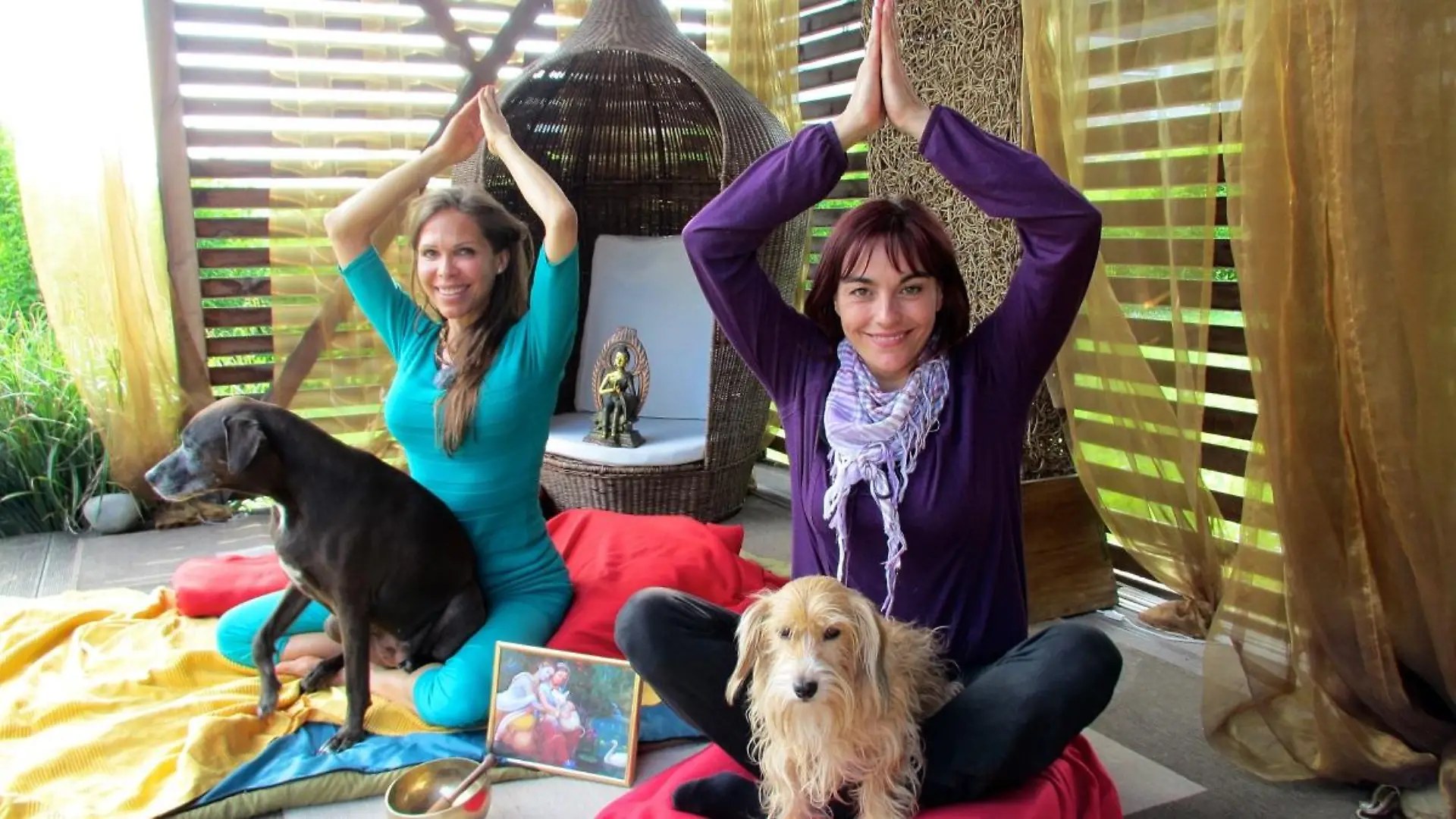 Tiergeschichten1 - VOX-DOCMA TV-MANUELA BAUER - Yoga-Lehrerin Radha Prema und Hund Bhakti zeigen Diana Eichhorn und Klein Maggie einige Doga-bungen