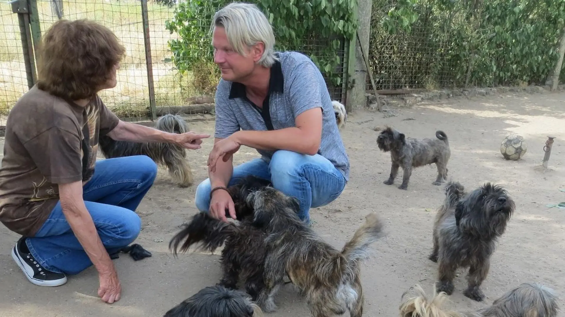 Tiere in Not - VOX-DOCMA TV-DR. GERALD KRAKAUER- Frank Weber versucht fr die Hunde von Reppichau eine neue Bleibe zu finden