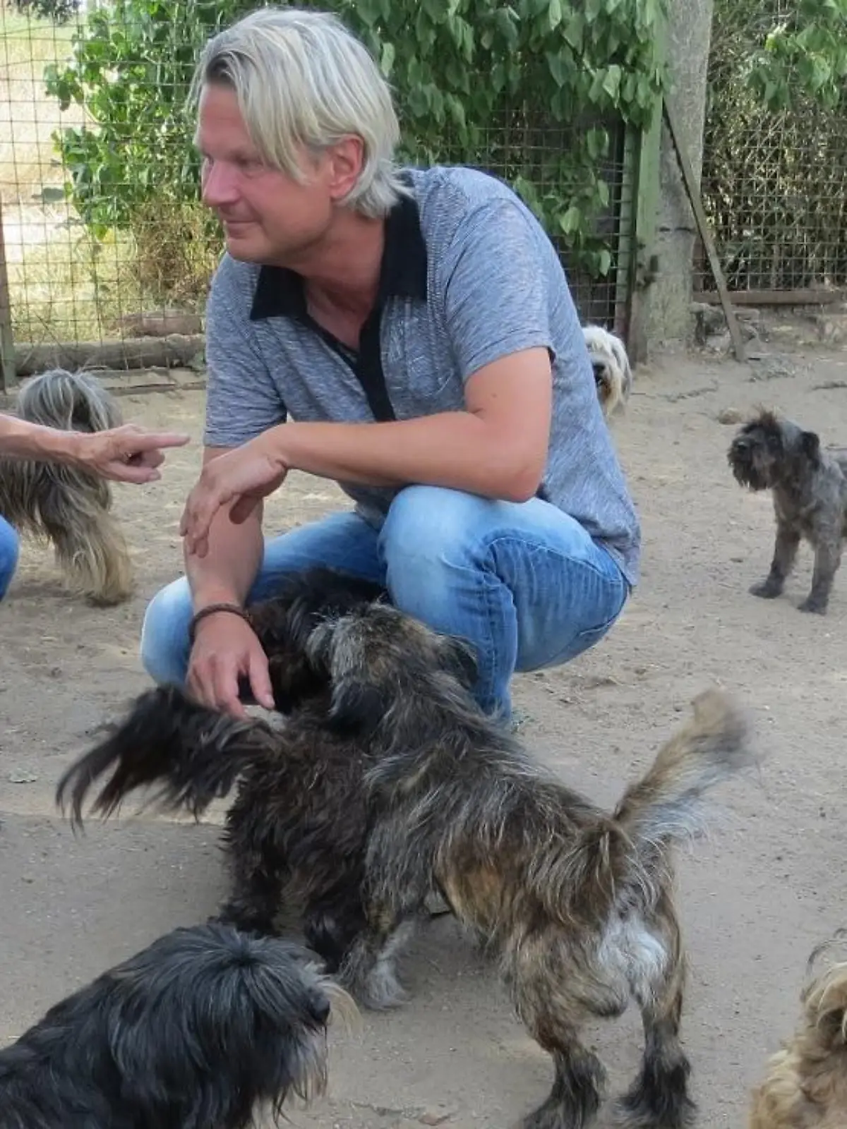 Tiere in Not - VOX-DOCMA TV-DR. GERALD KRAKAUER- Frank Weber versucht fr die Hunde von Reppichau eine neue Bleibe zu finden