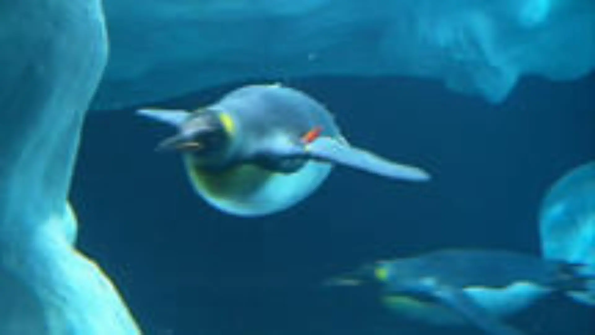 tiergeschichten1