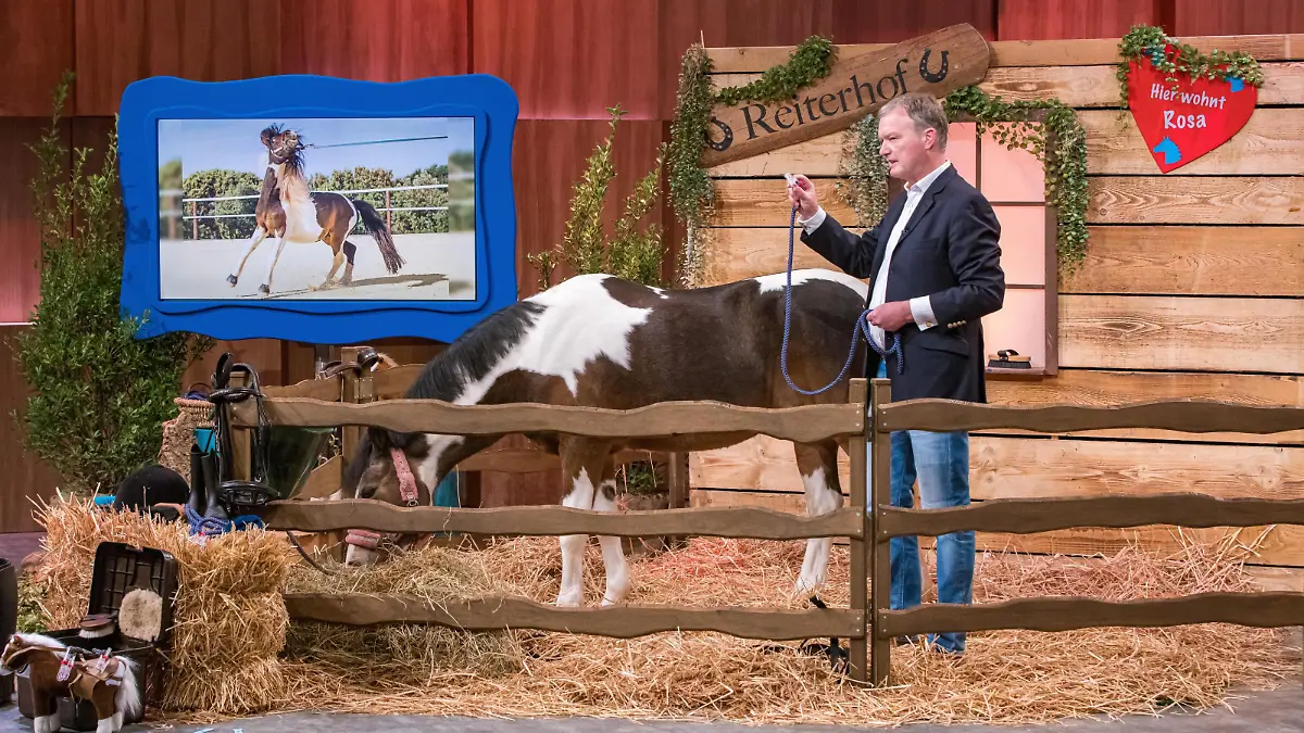Konrad Winkler präsentiert mit Pony Rosa den Clever Horse Clip, das sichere Verschlusssystem zum Führen und anbinden von Pferden. Er erhofft sich ein Investment von 45.000 Euro für 10 Prozent der Anteile an seinem Unternehmen.
+++ Die Verwendung des sendungsbezogenen Materials ist nur mit dem Hinweis und Verlinkung auf RTL+ gestattet. +++