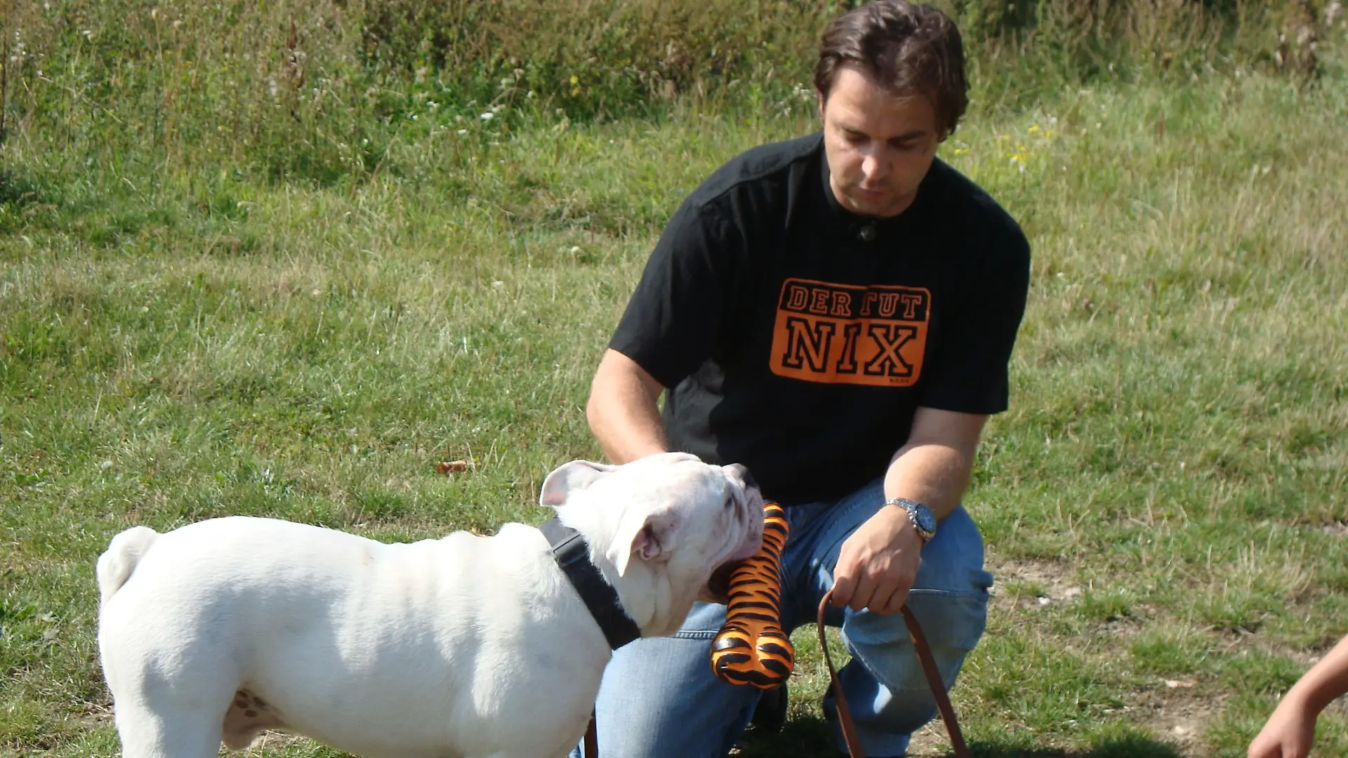 hundeprofi kurt2