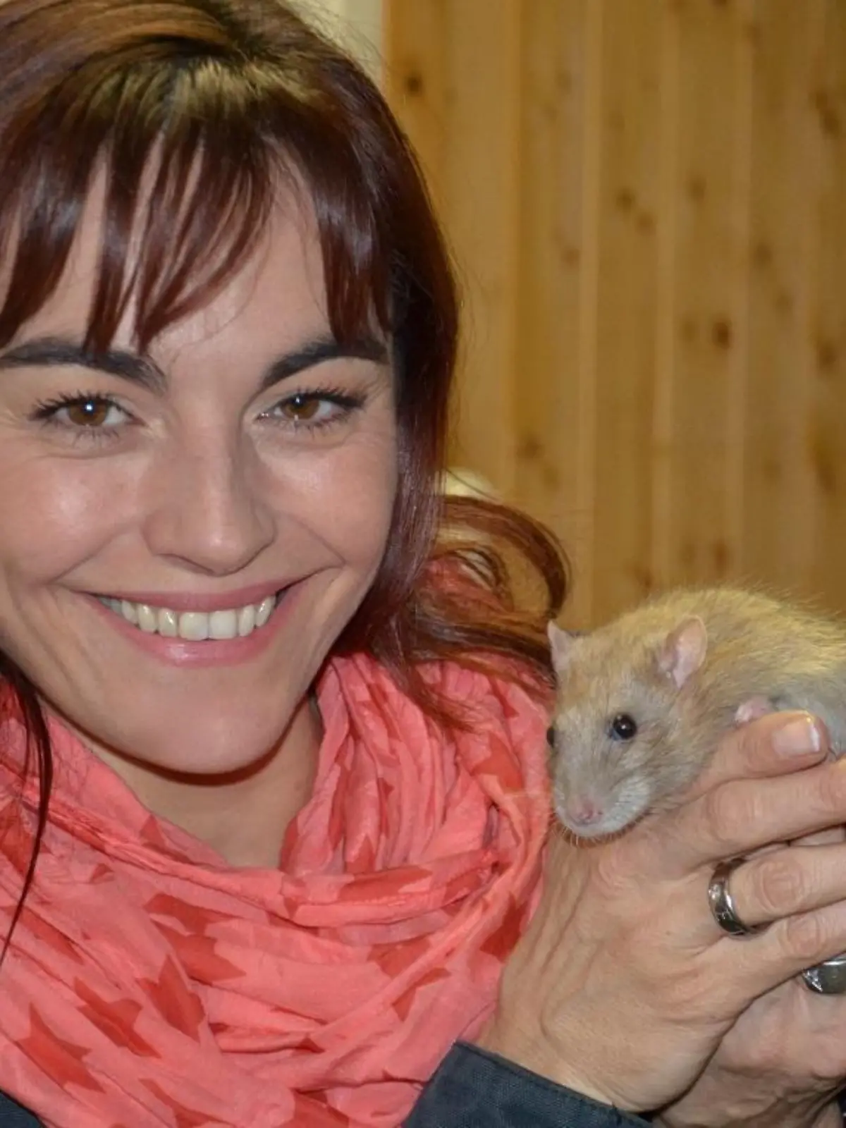 Tiergeschichten1 - VOX-DOCMA TV-ANJA SCHERF - Diana besucht die Polizeiratten in Rotterdam