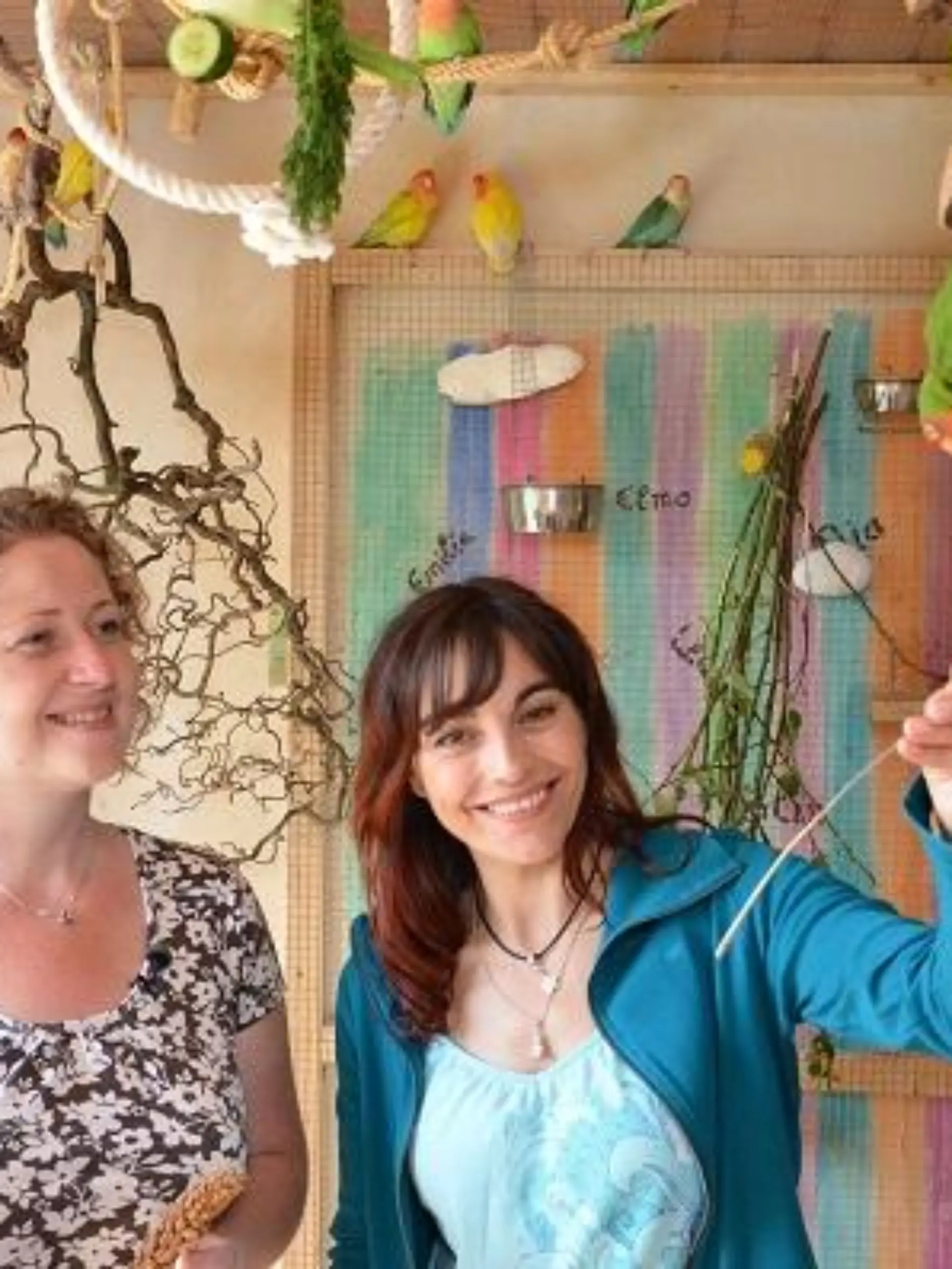 Tiergeschichten1 - VOX-DOCMA TV-CLAUDIA GRIMM - Diana und Agaporniden