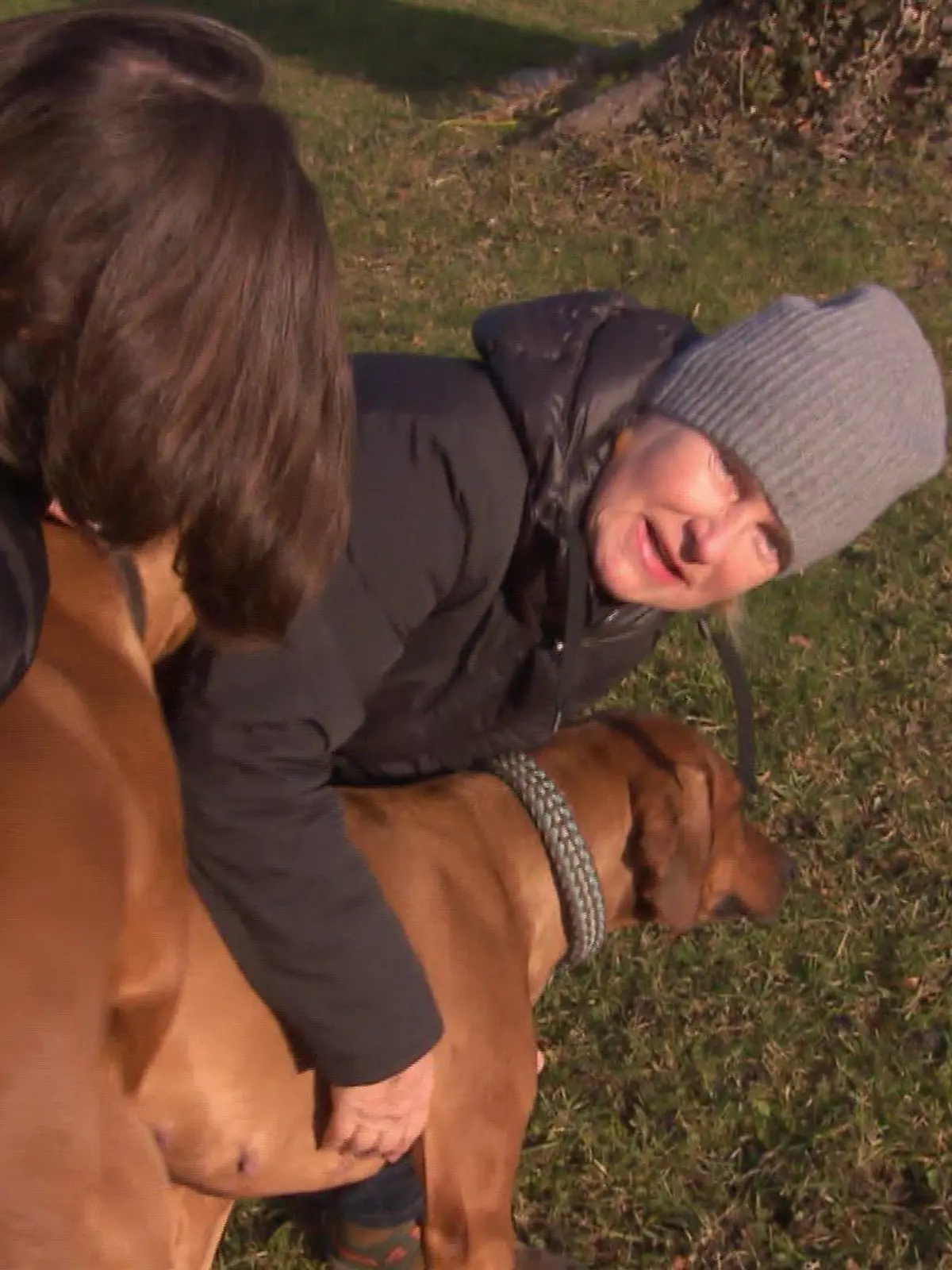 Bild zu: "Gibt es bald Ridgeback-Nachwuchs?"