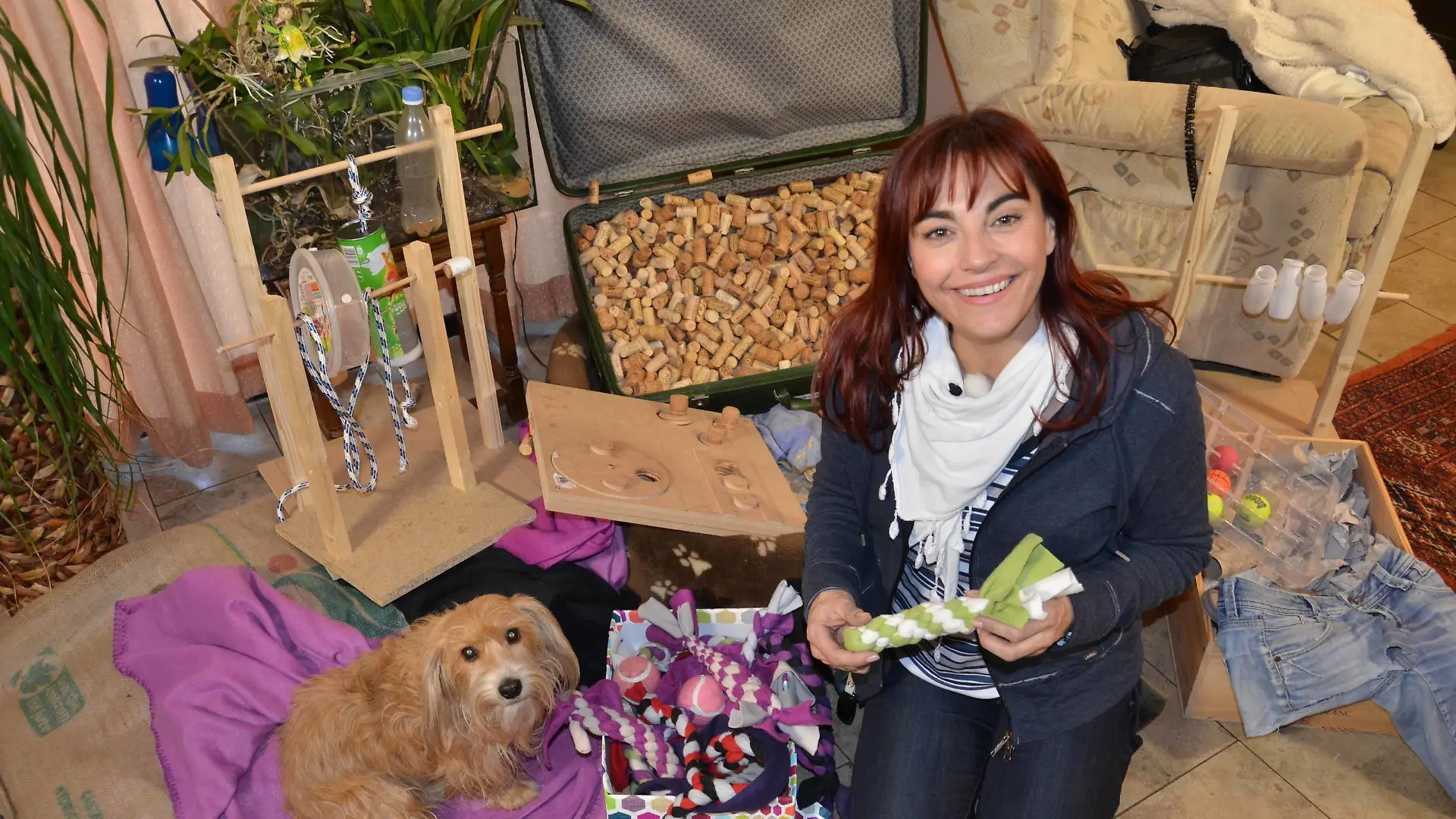 Tiergeschichten1 - Bild 1 - Hundespielzeug basteln - Diana und Klein-Maggie