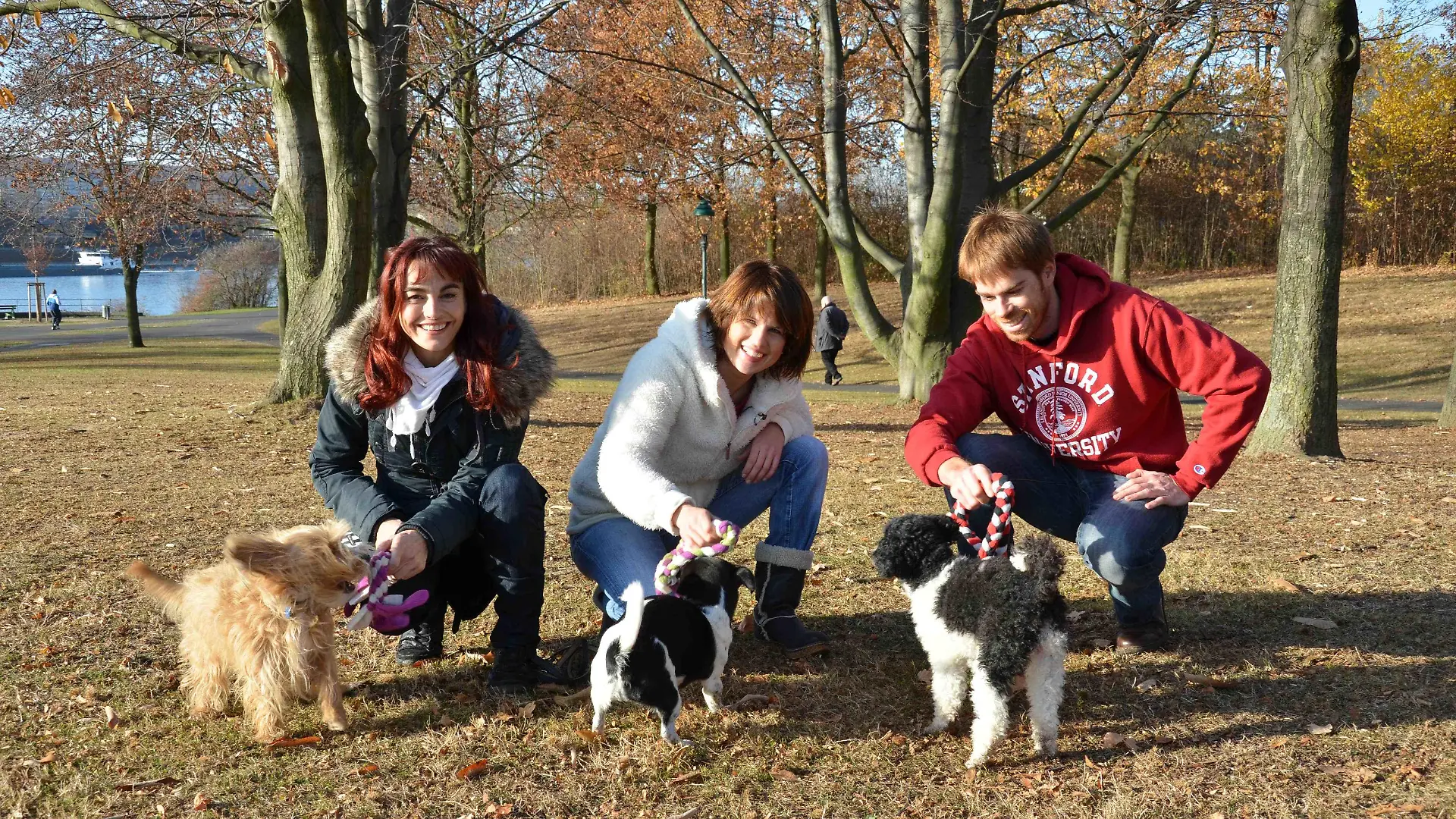 Tiergeschichten1 - Bild 2 - Hundespielzeug